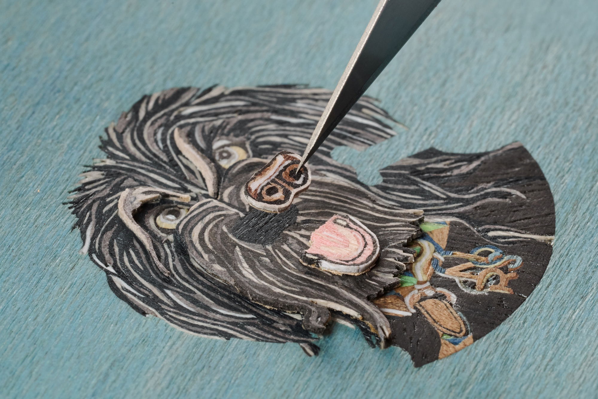 Arceau Jour de Casting Orson - Image 4