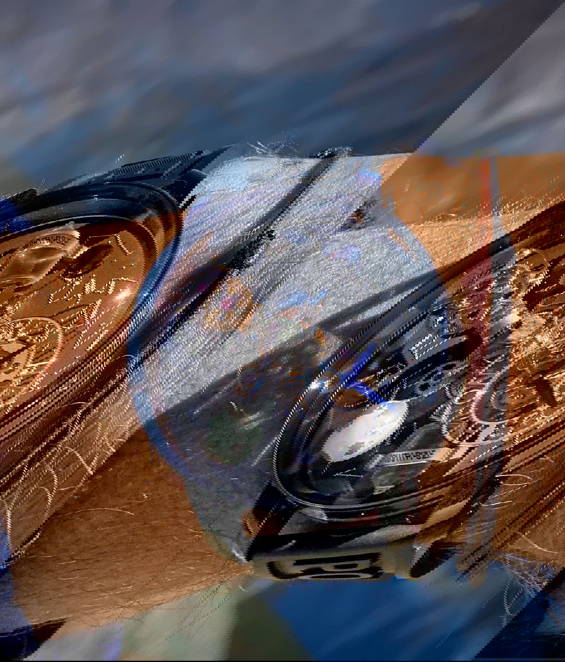 Astronomia Everest Black Gold - Image 7