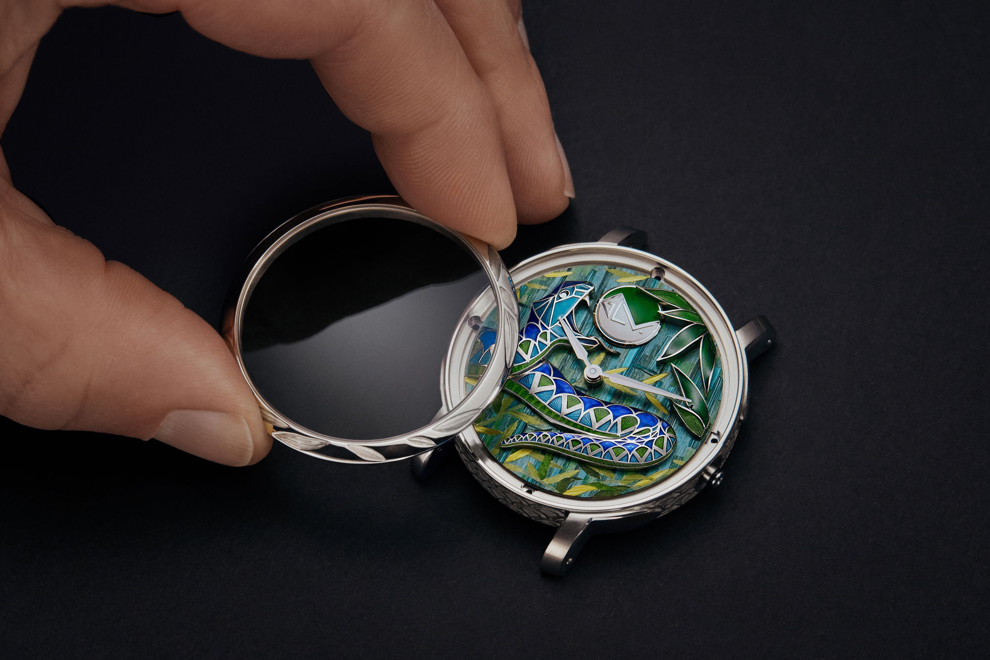 Escale Cabinet of Wonders Snake’s Jungle - Image 3