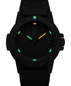 Alternative view of Leatherback Sea Turtle 0300 Series