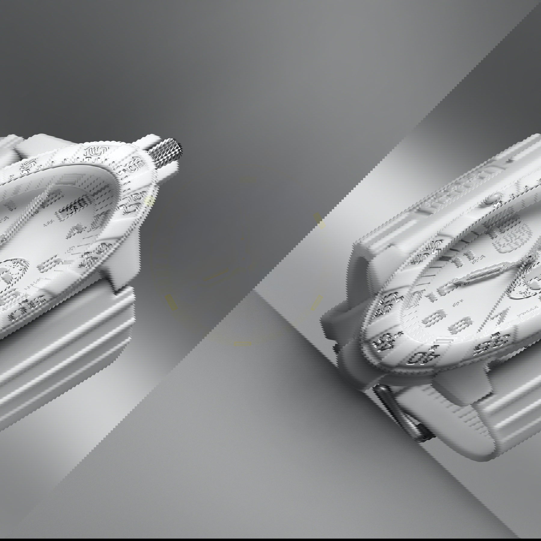 Leatherback Sea Turtle 0300 Series - Image 3