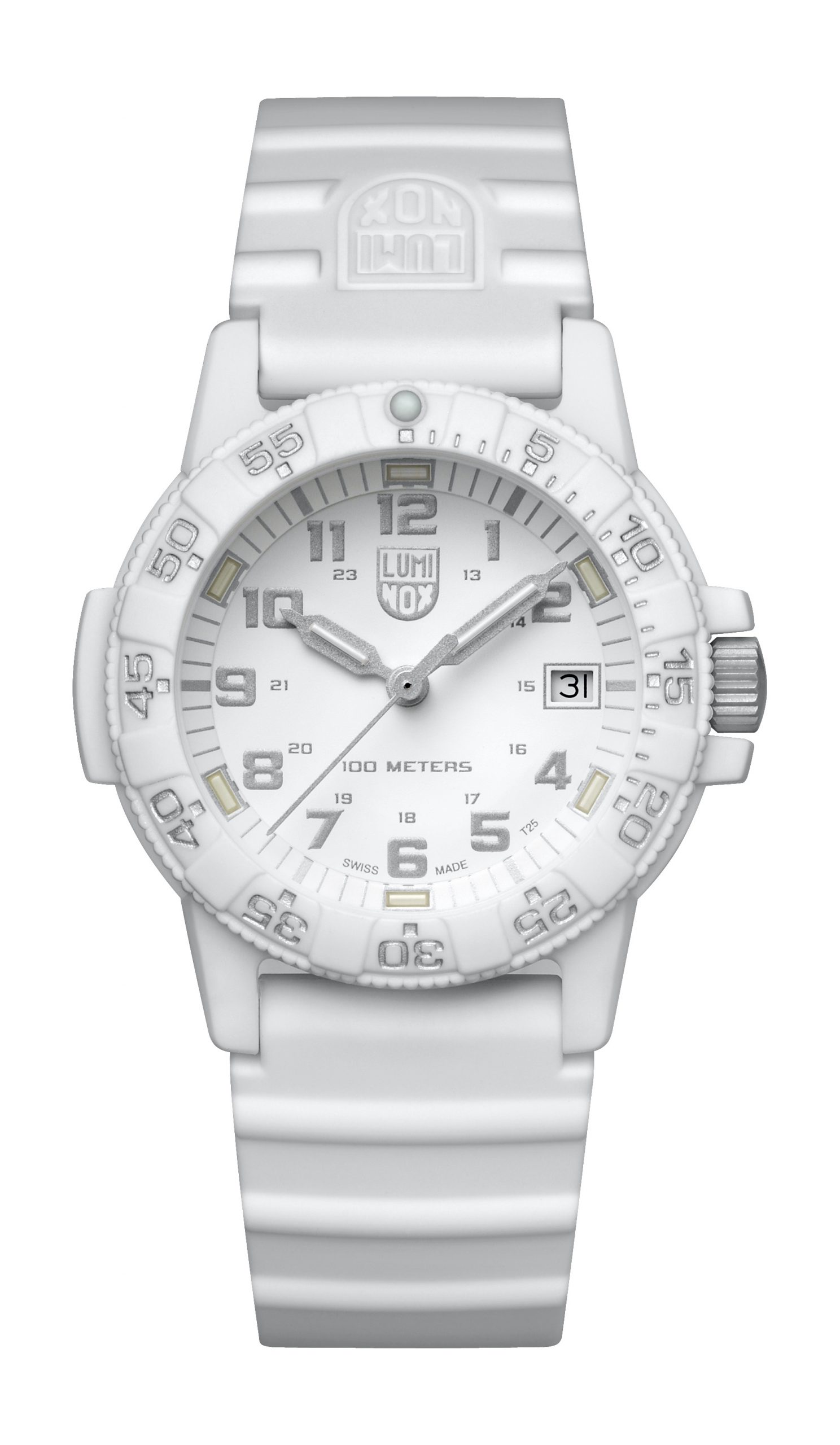 Leatherback Sea Turtle 0300 Series