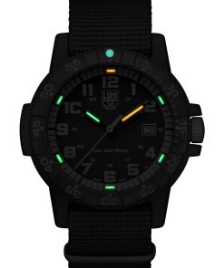 Alternative view of Leatherback Sea Turtle Giant 0320 Series