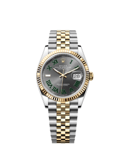 Rolex Datejust 36  36 mm  Oystersteel and yellow gold 126233-0035