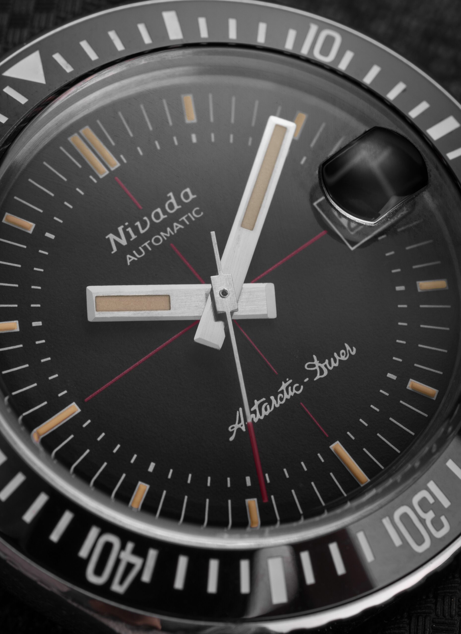 Antarctic Diver Date - Image 5