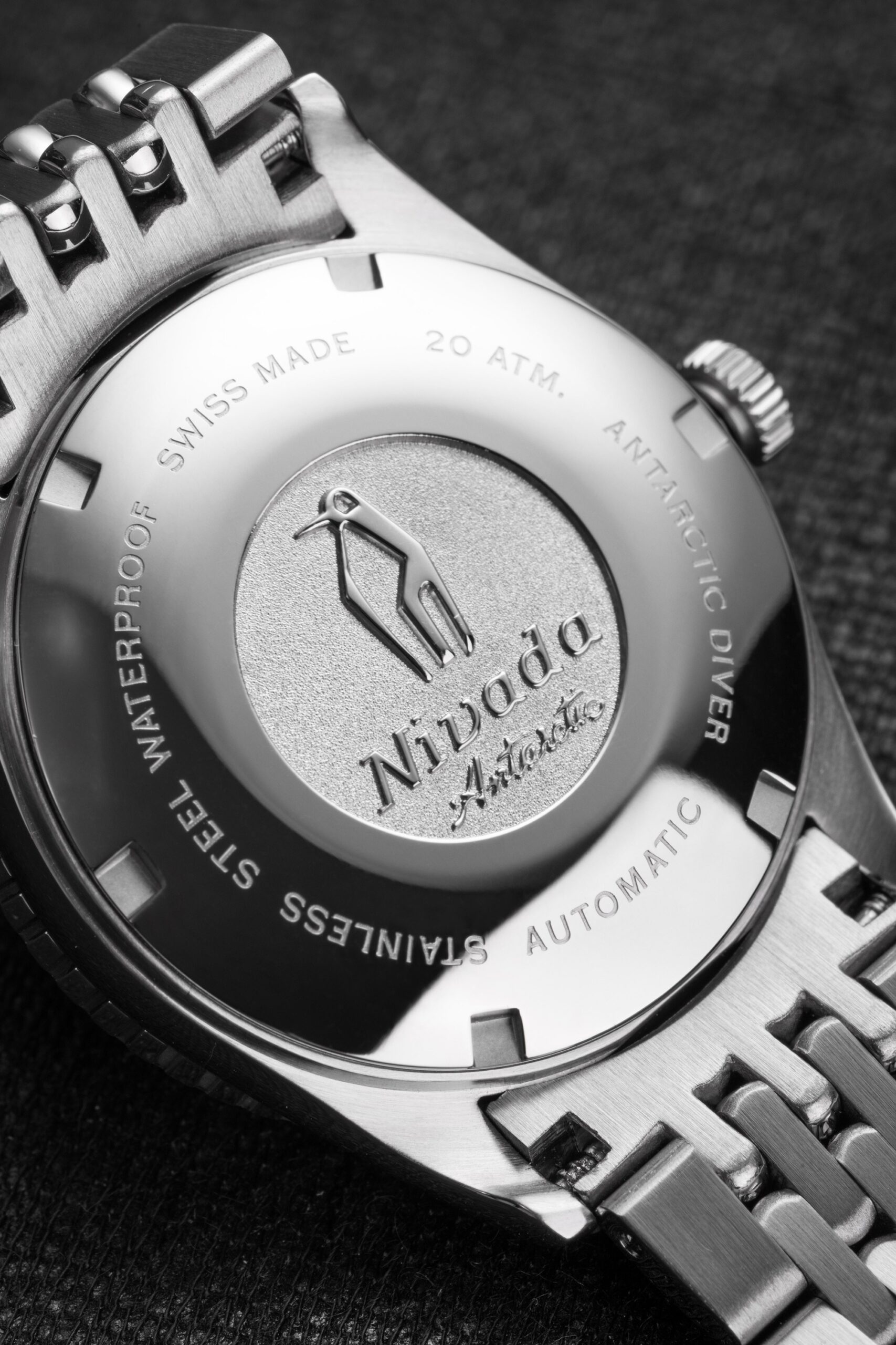 Antarctic Diver Date - Image 4