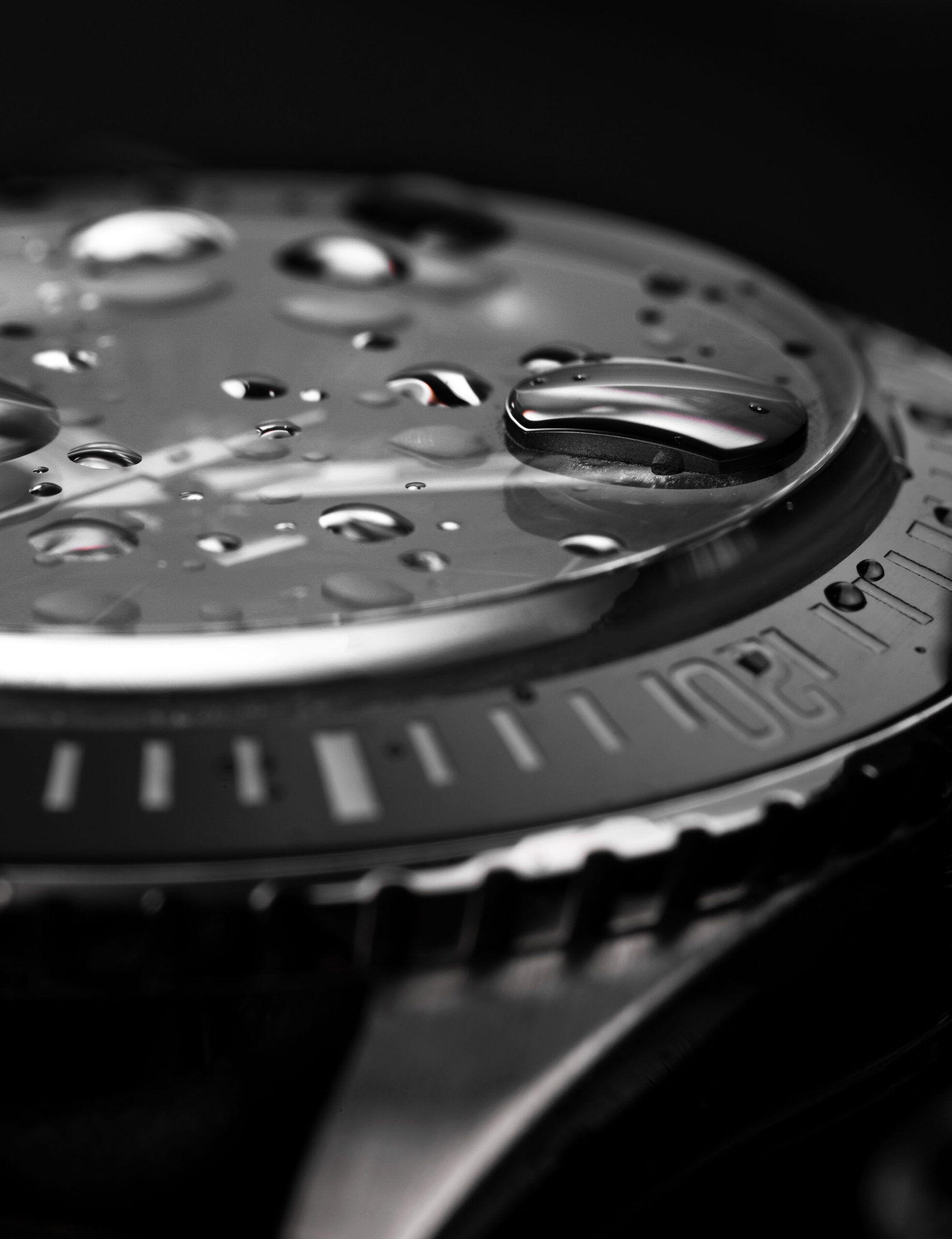 Antarctic Diver Date - Image 7