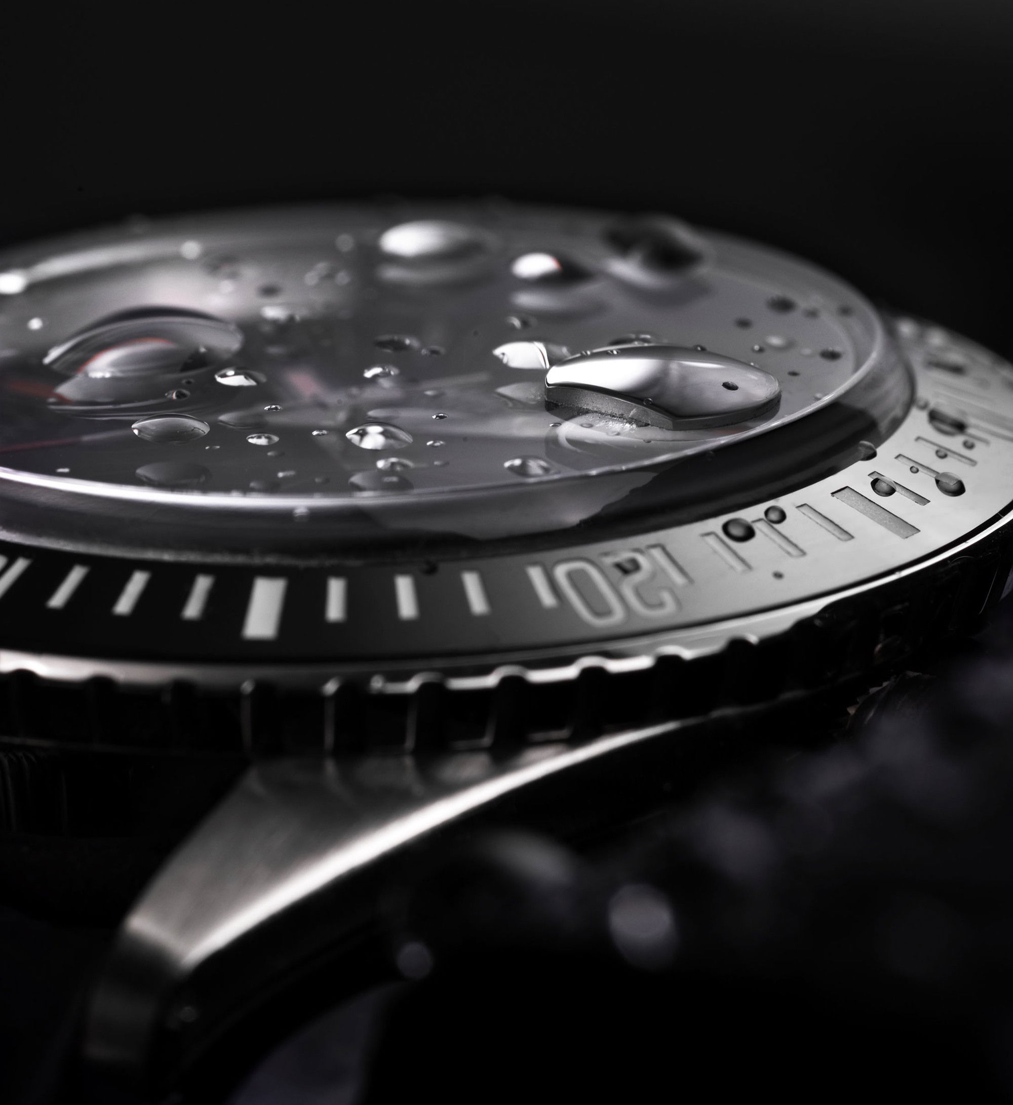 Antarctic Diver Date - Image 12