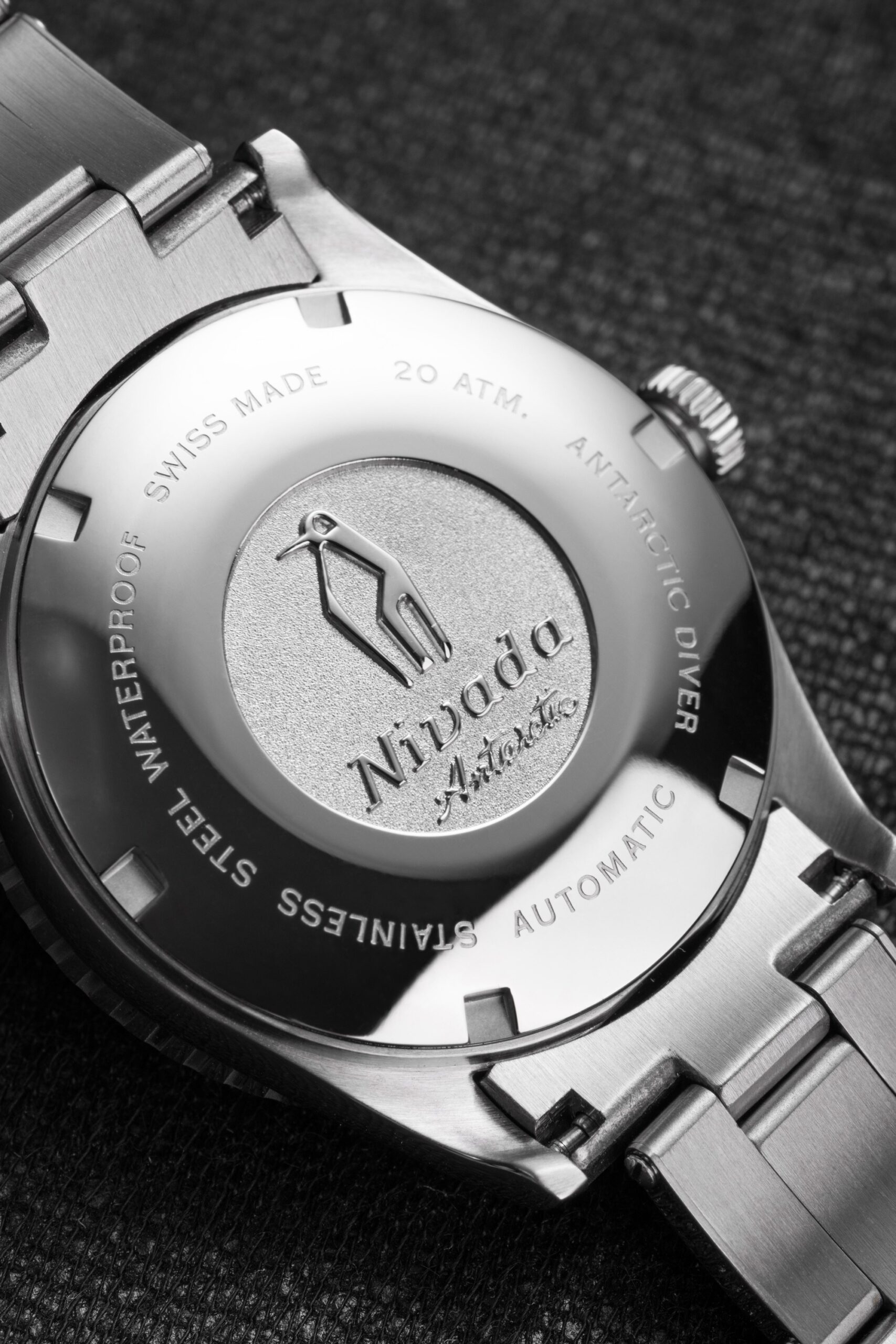 Antarctic Diver Date - Image 4