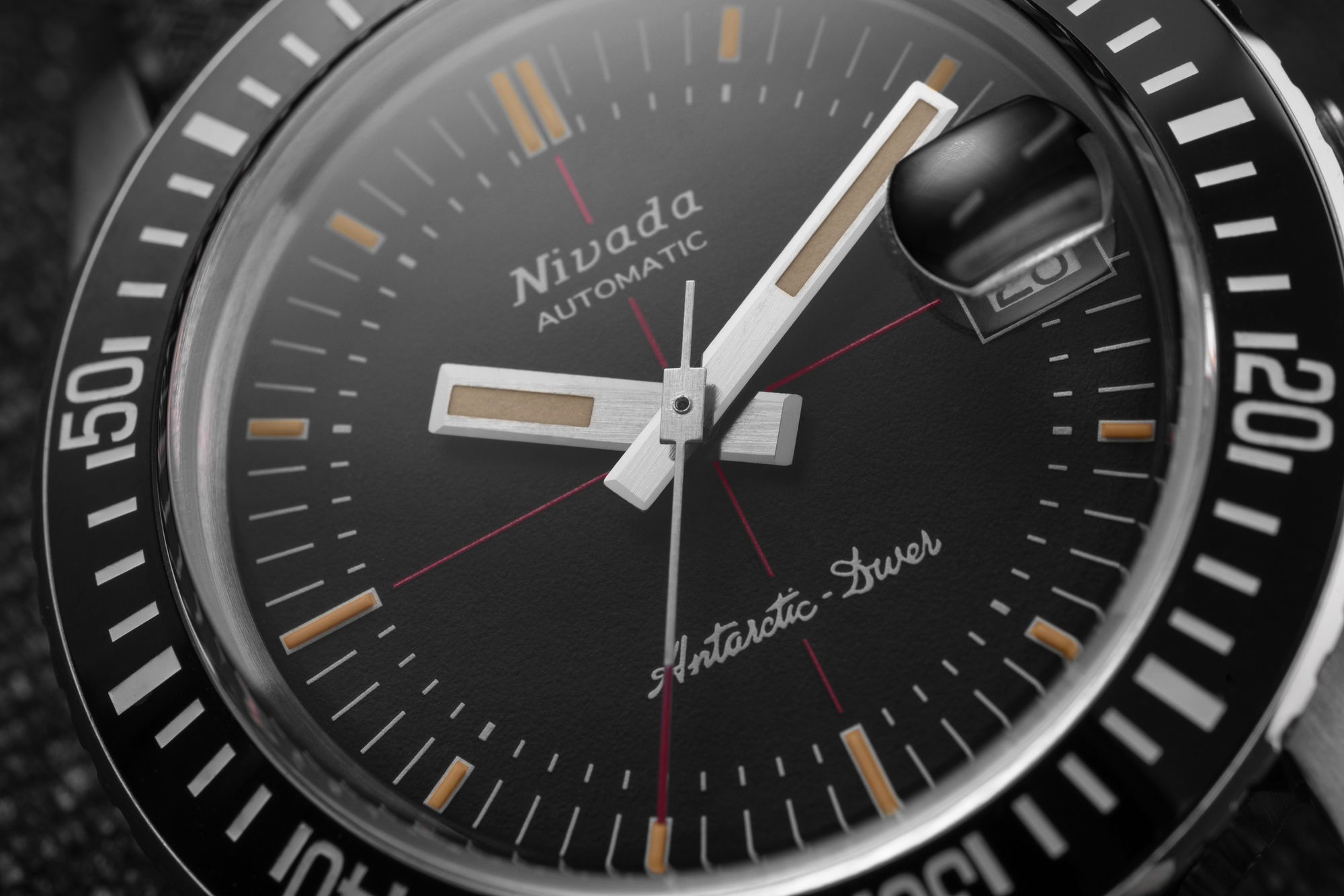 Antarctic Diver Date - Image 5