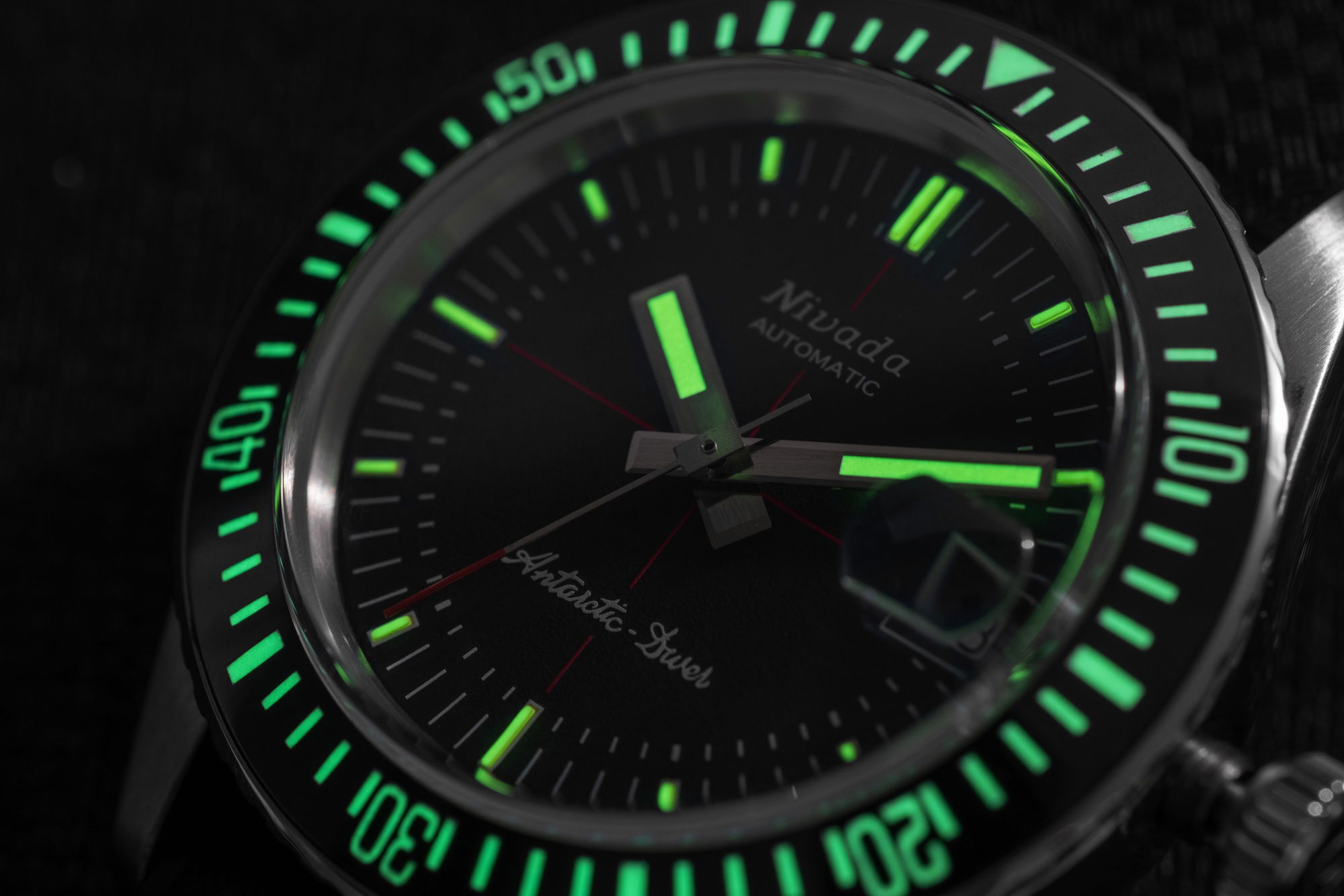 Antarctic Diver Date - Image 6