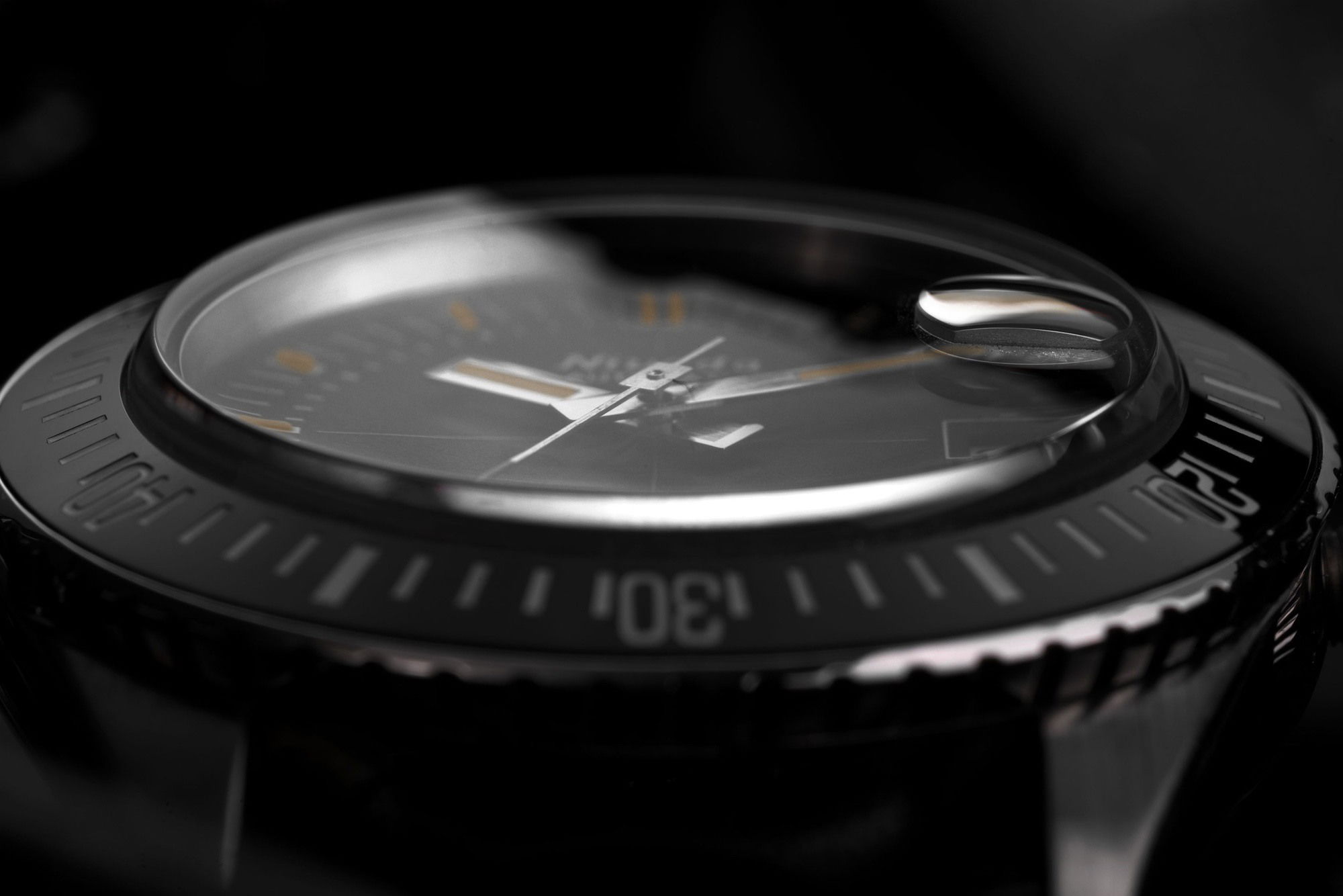 Antarctic Diver Date - Image 8