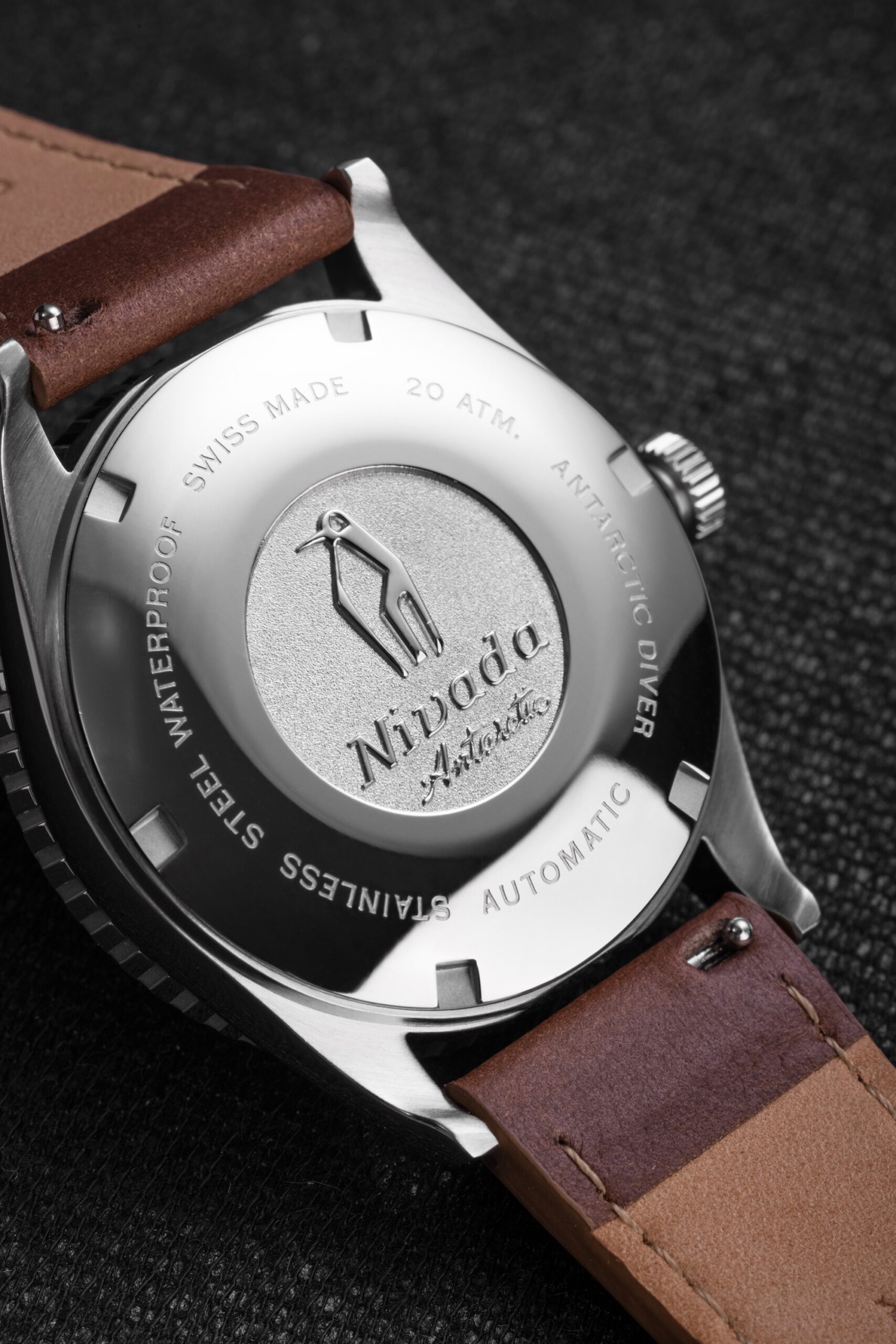 Antarctic Diver Date - Image 4