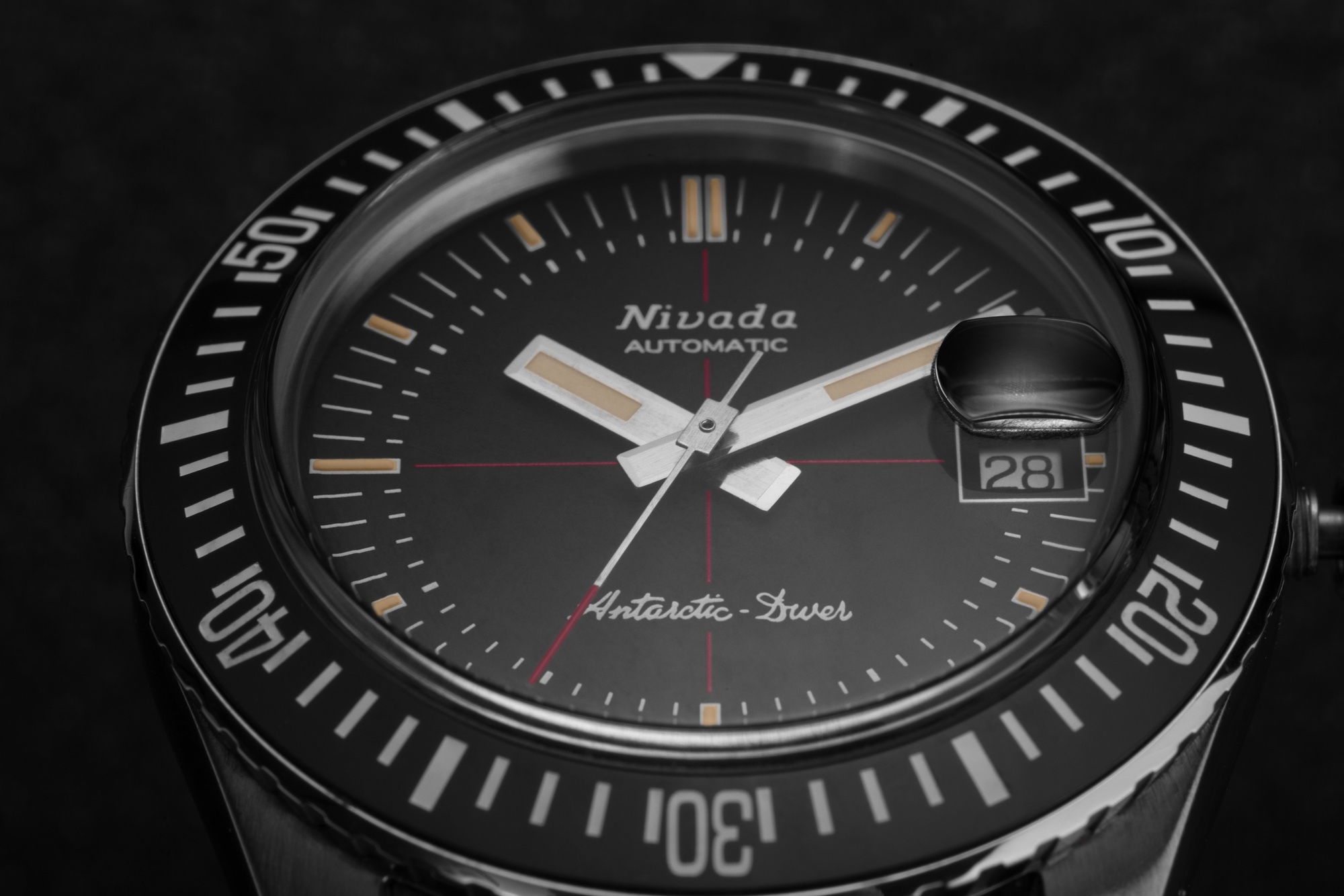 Antarctic Diver Date - Image 5