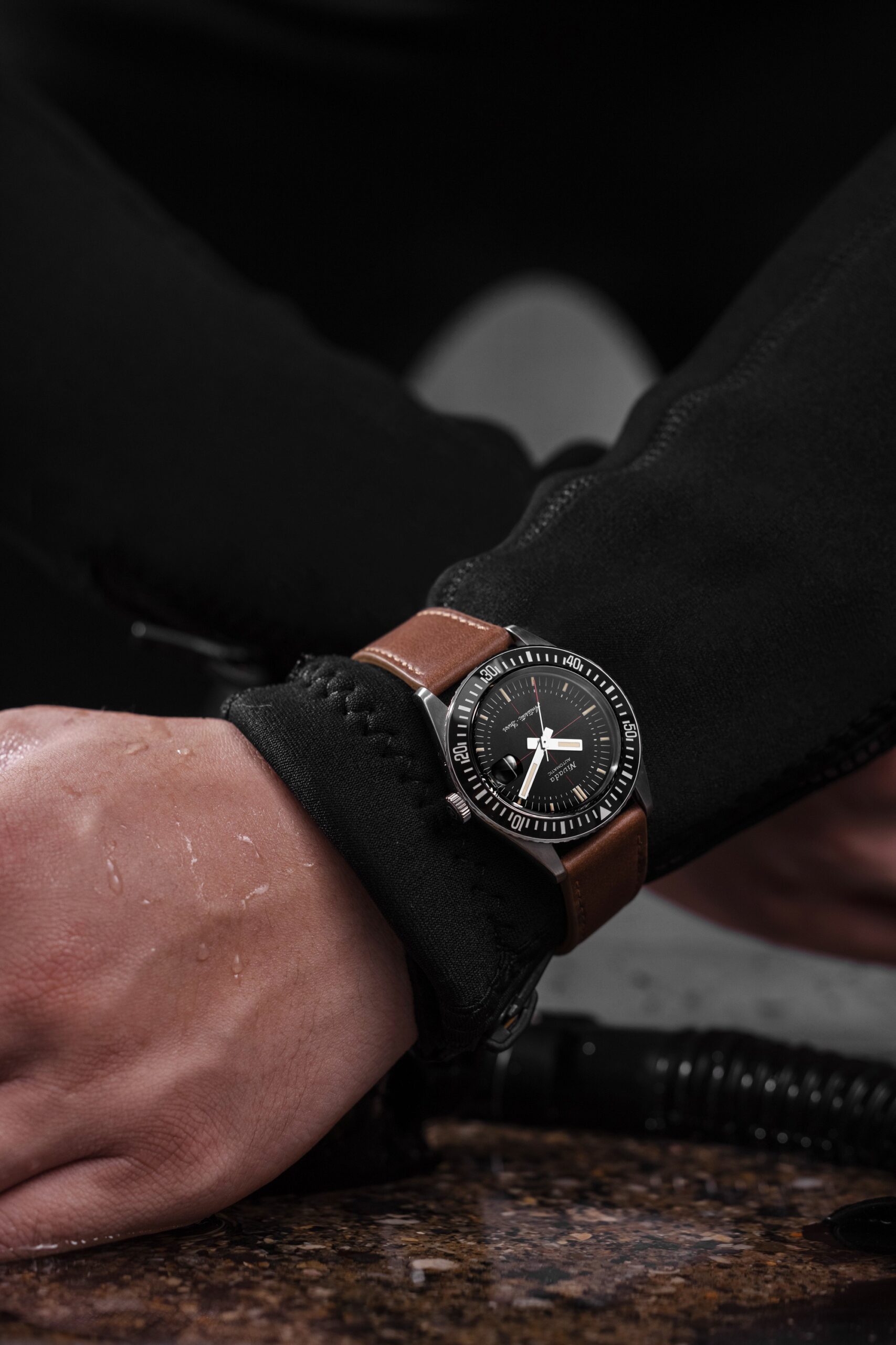 Antarctic Diver Date - Image 9