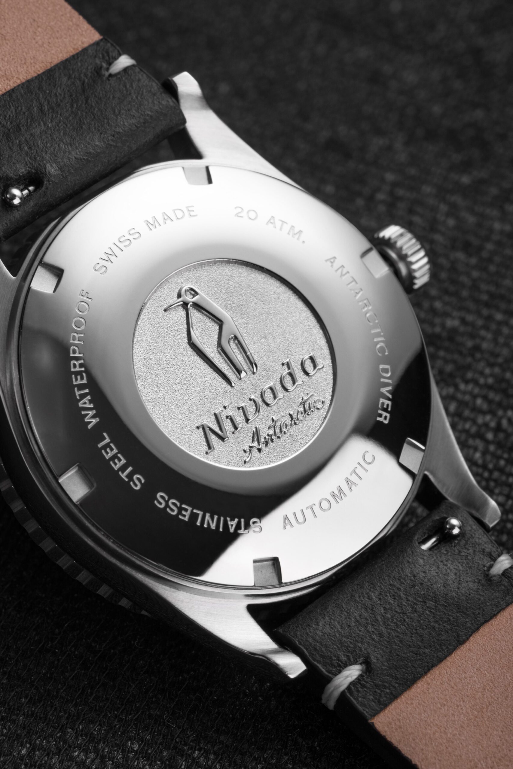 Antarctic Diver Date - Image 4