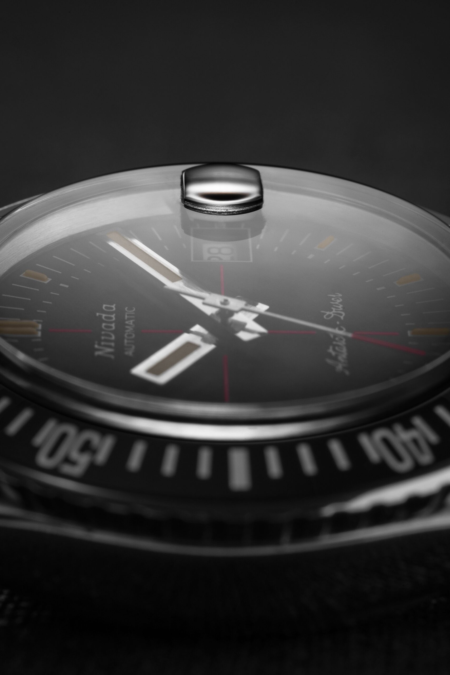 Antarctic Diver Date - Image 5