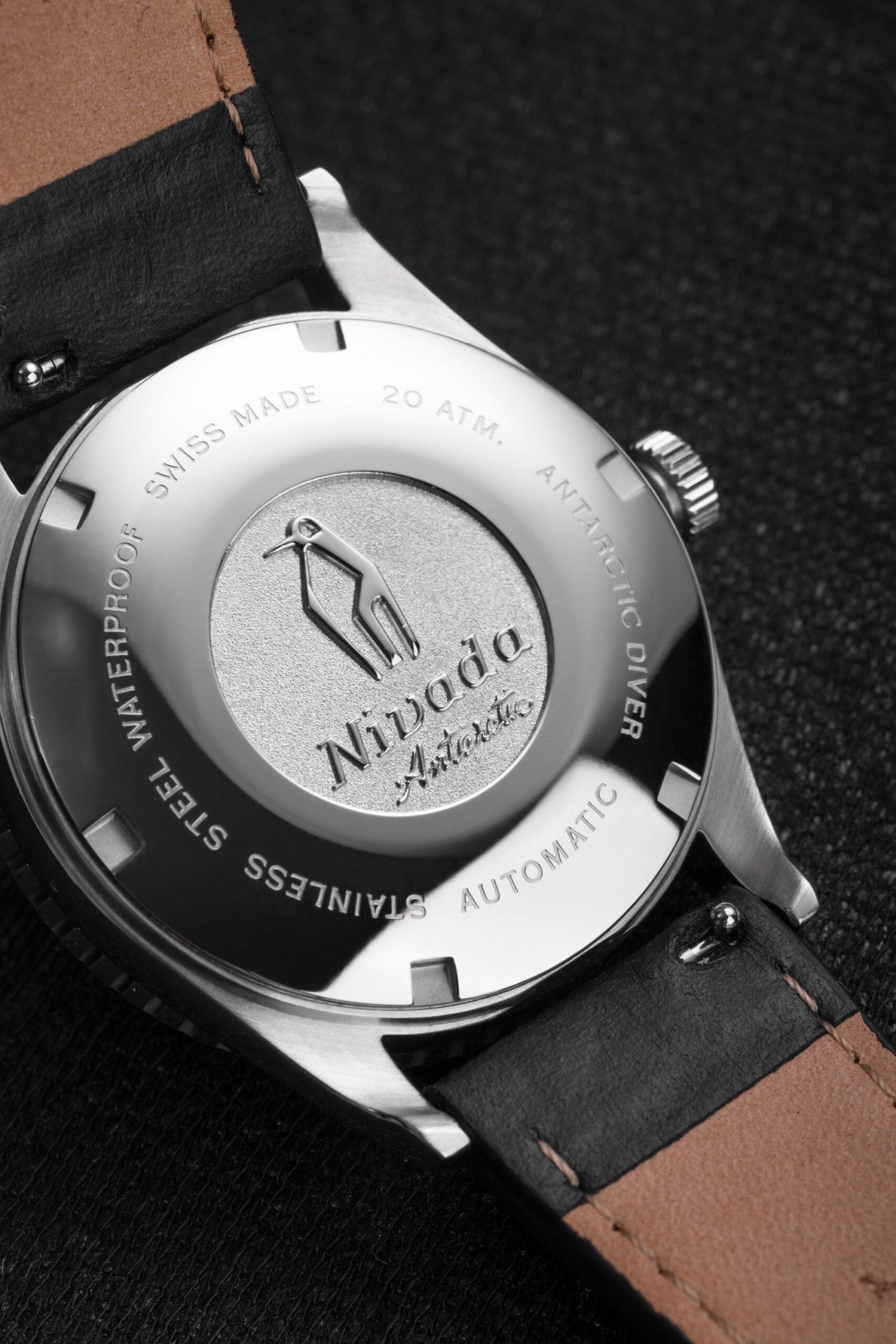 Antarctic Diver Date - Image 4