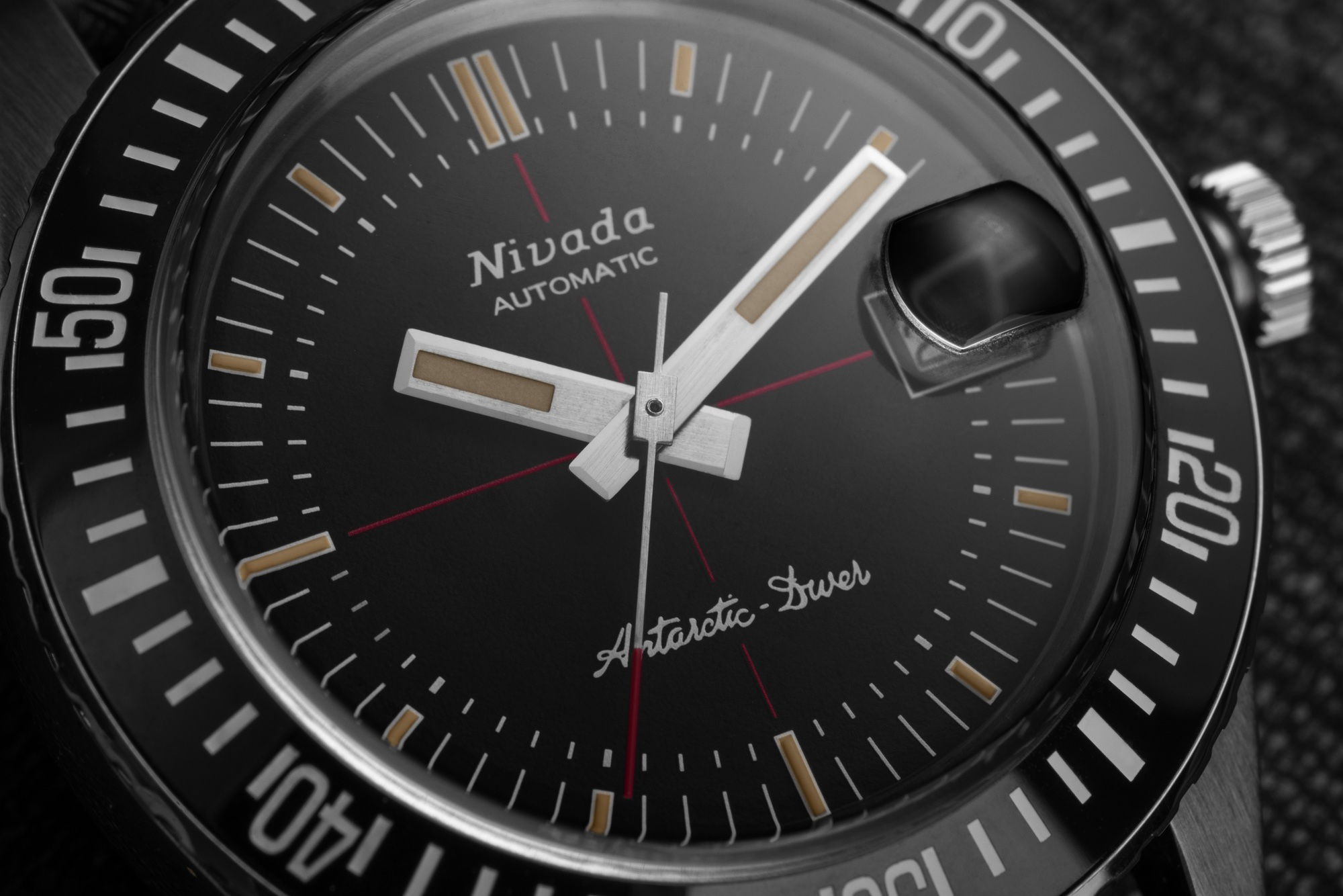 Antarctic Diver Date - Image 5