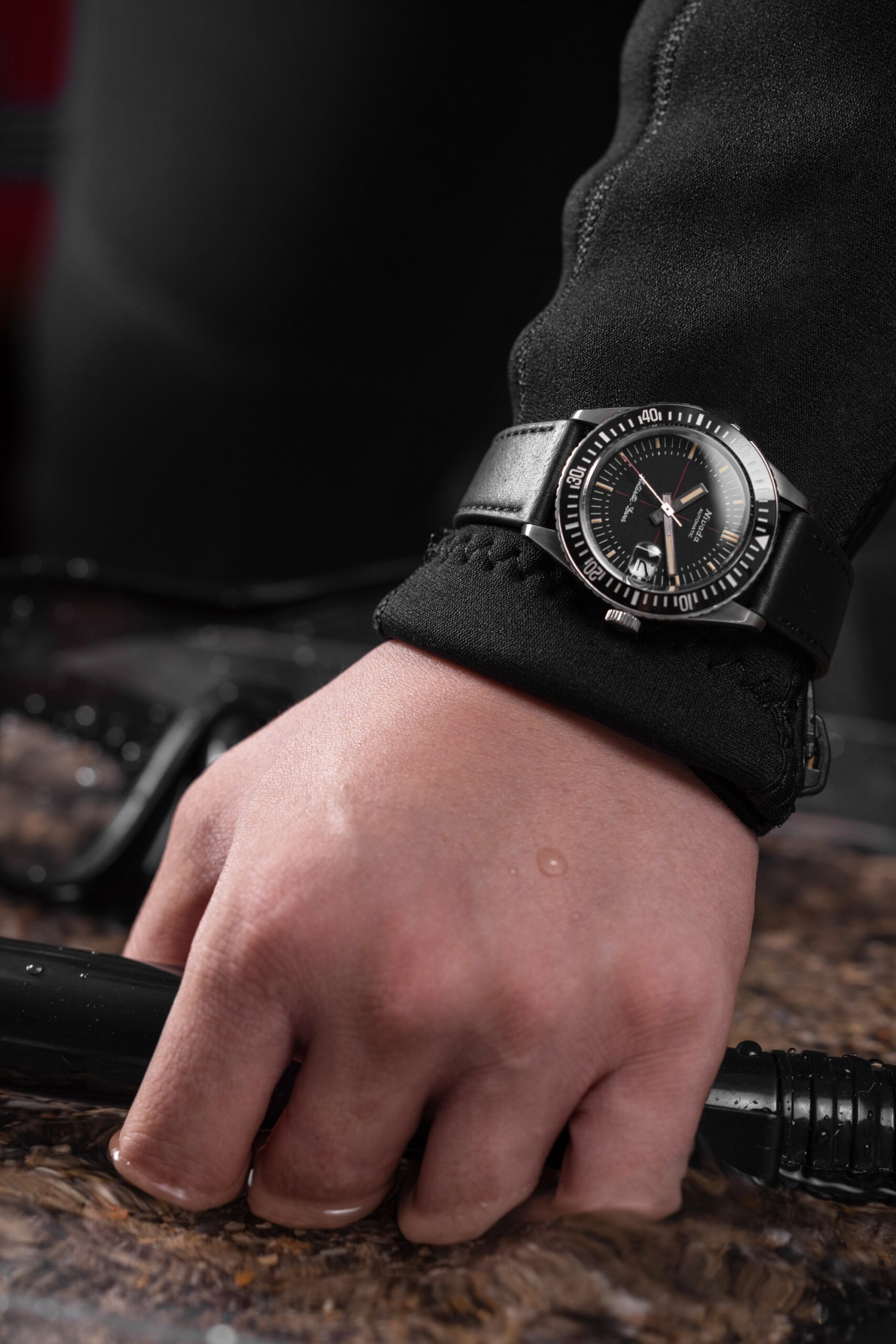 Antarctic Diver Date - Image 7