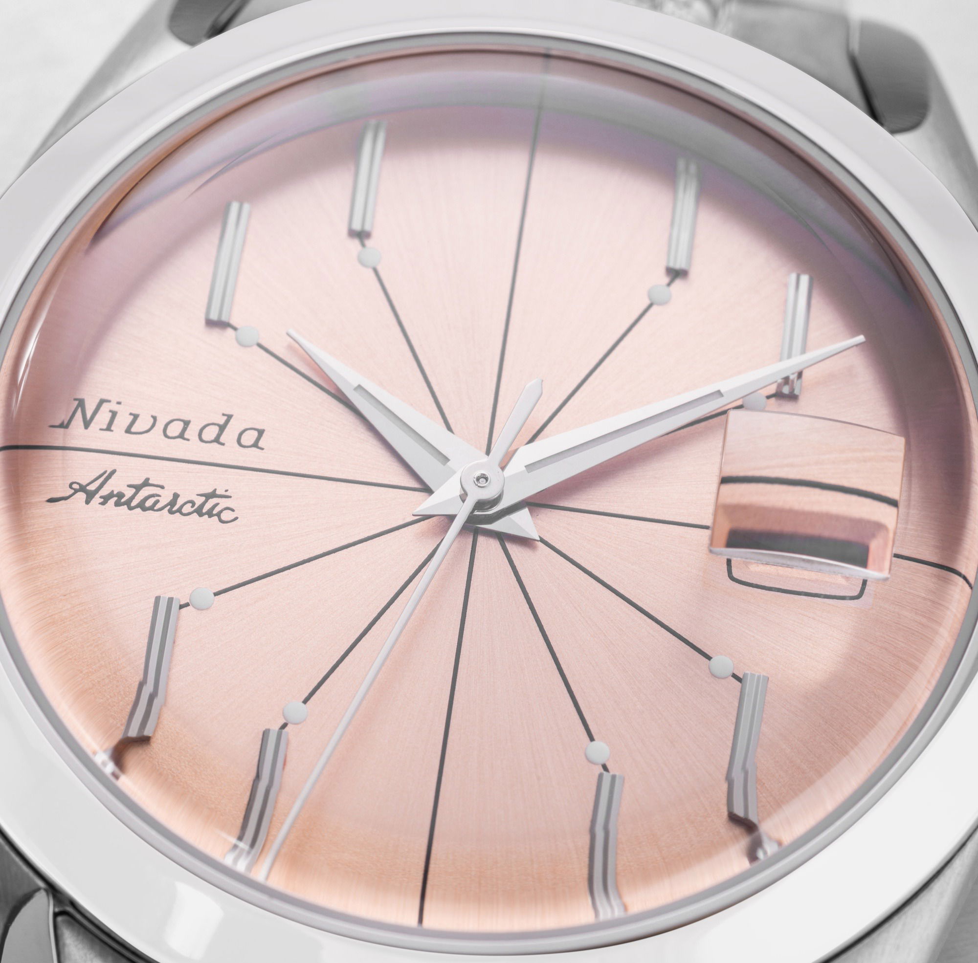 Antarctic Spider Salmon Date - Image 4