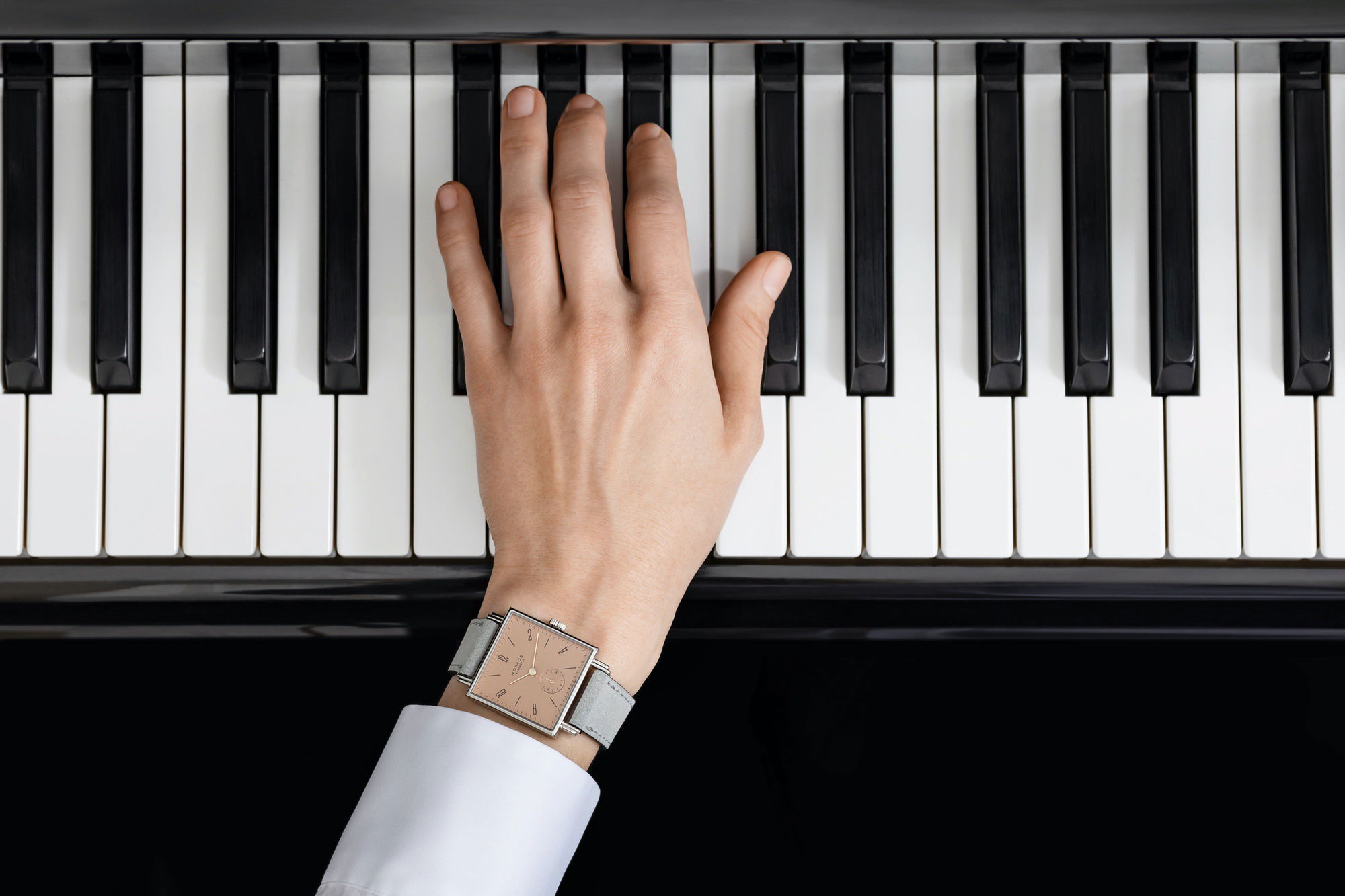 Tetra Divine Spark - Image 4