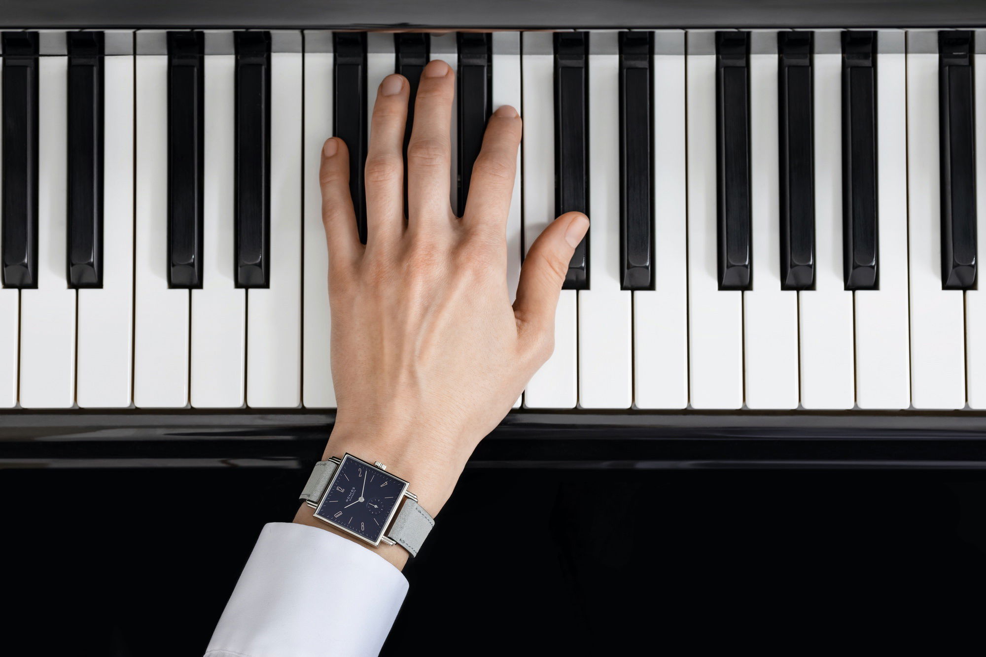 Tetra Fidelio - Image 6