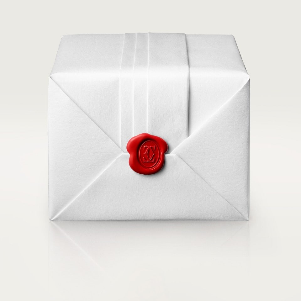 TANK AMÉRICAINE WATCH - Image 4