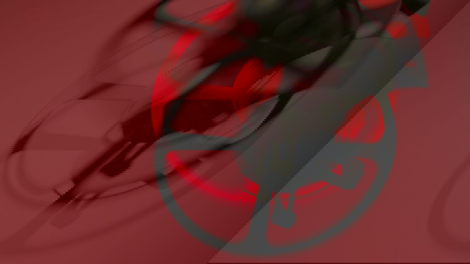 Big Crown Hölstein Edition 2021 - Image 2