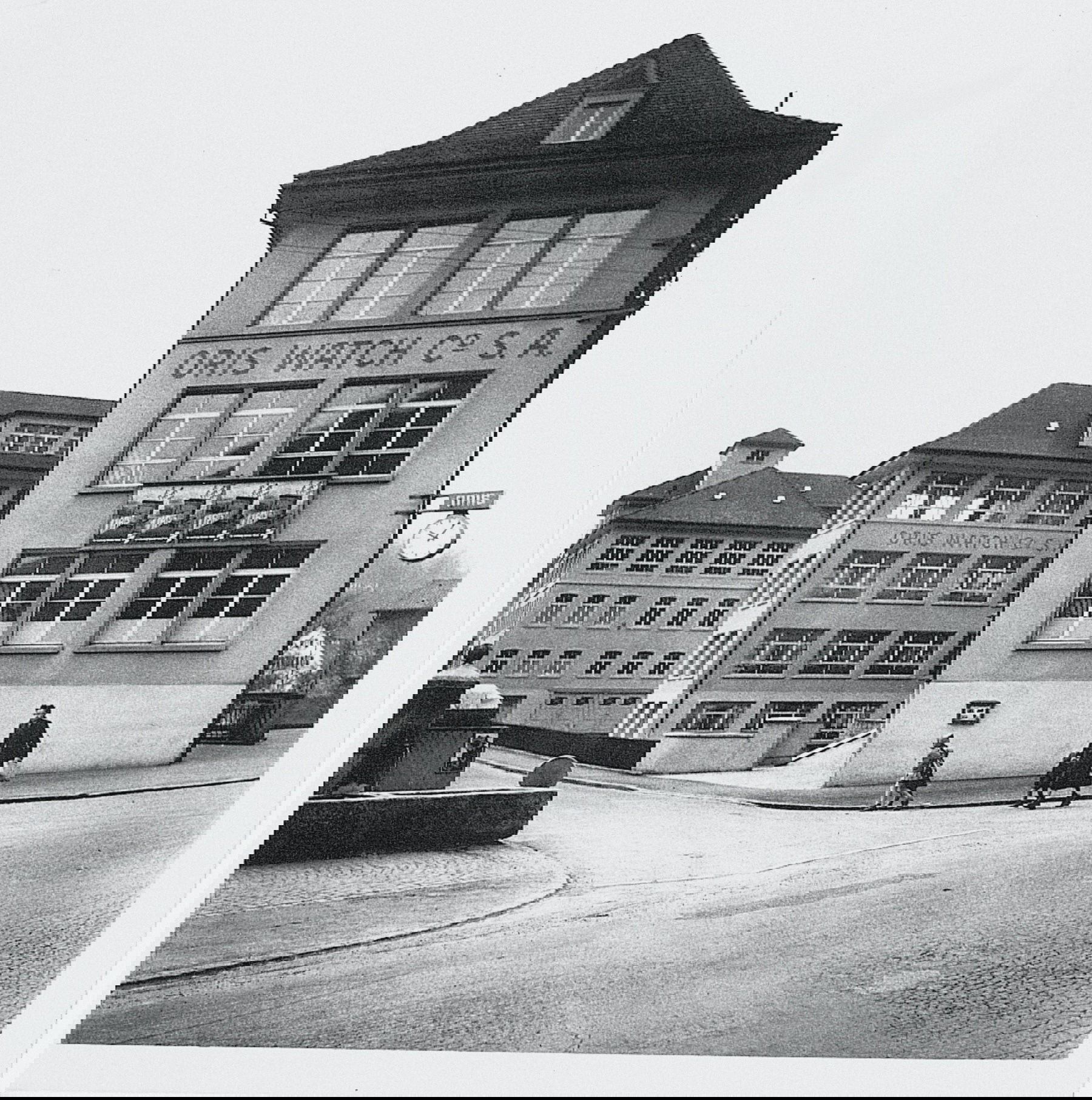 Big Crown Hölstein Edition 2021 - Image 6