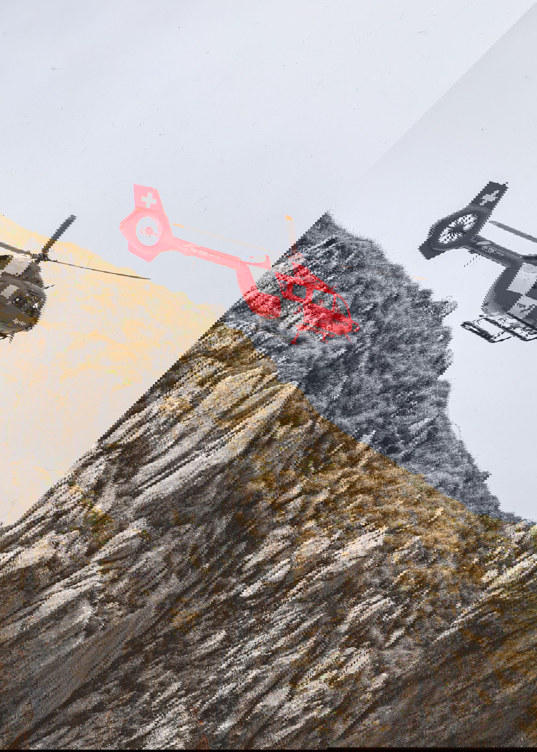 Big Crown ProPilot Rega Fleet Limited Edition - Image 9