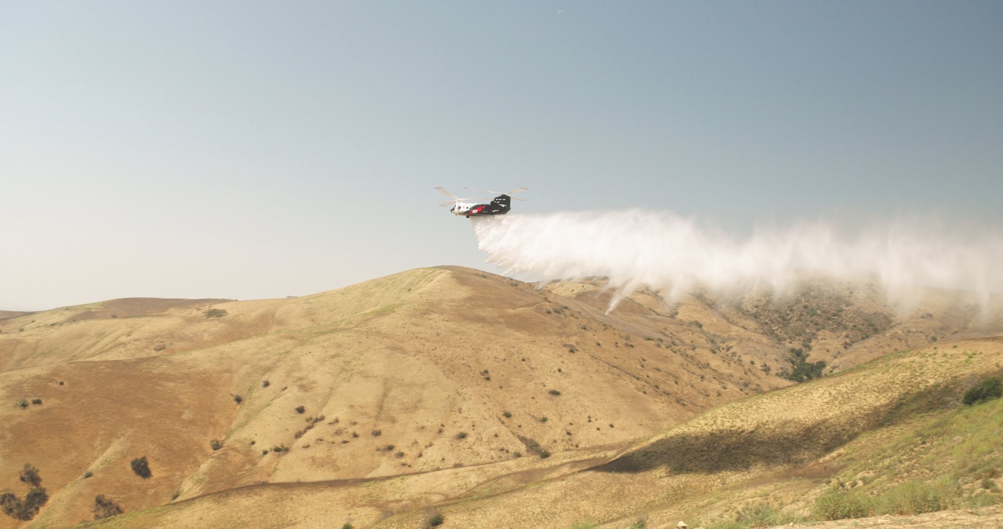 Coulson Limited Edition - Image 7