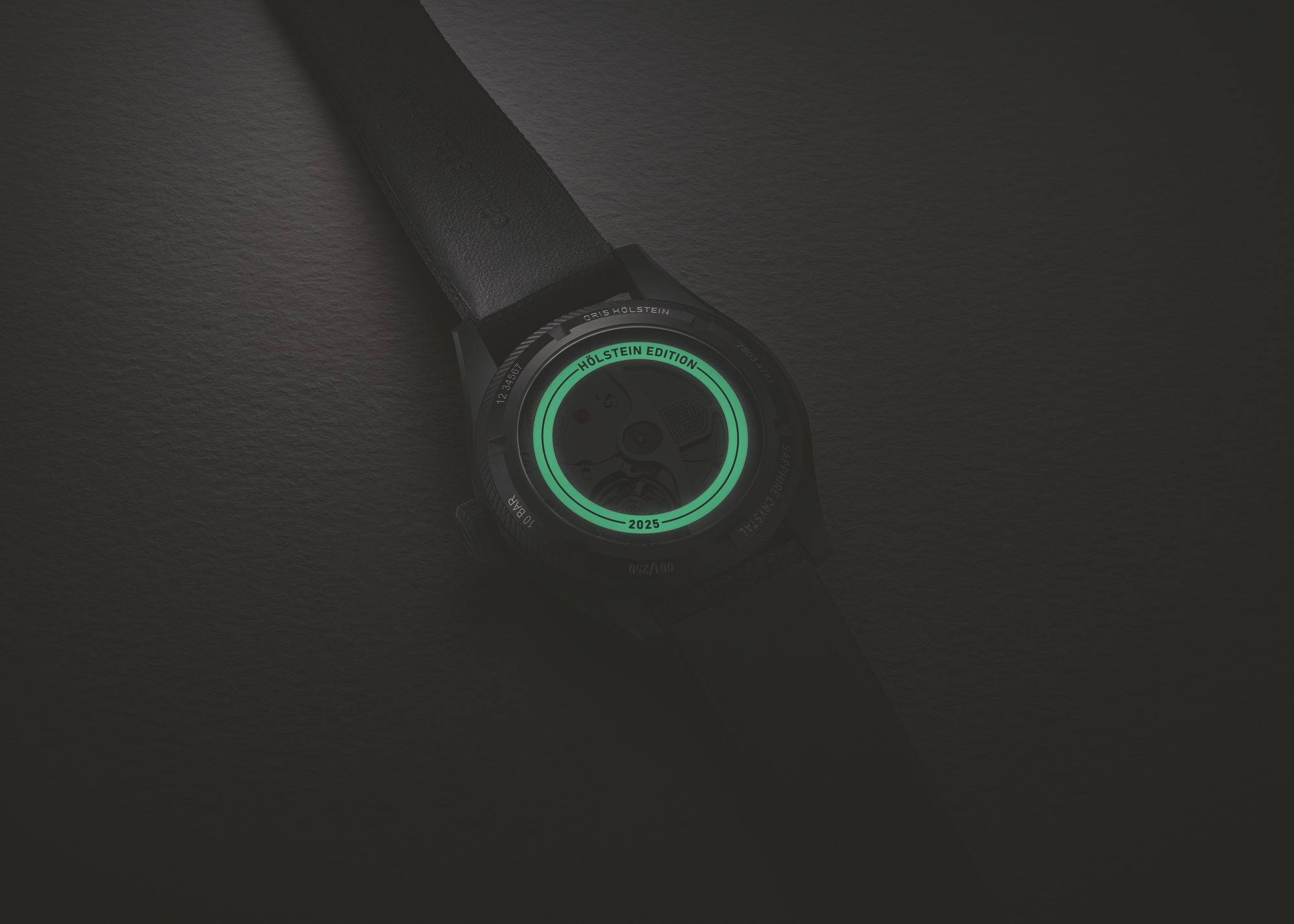 Holstein Edition 2025 - Image 2