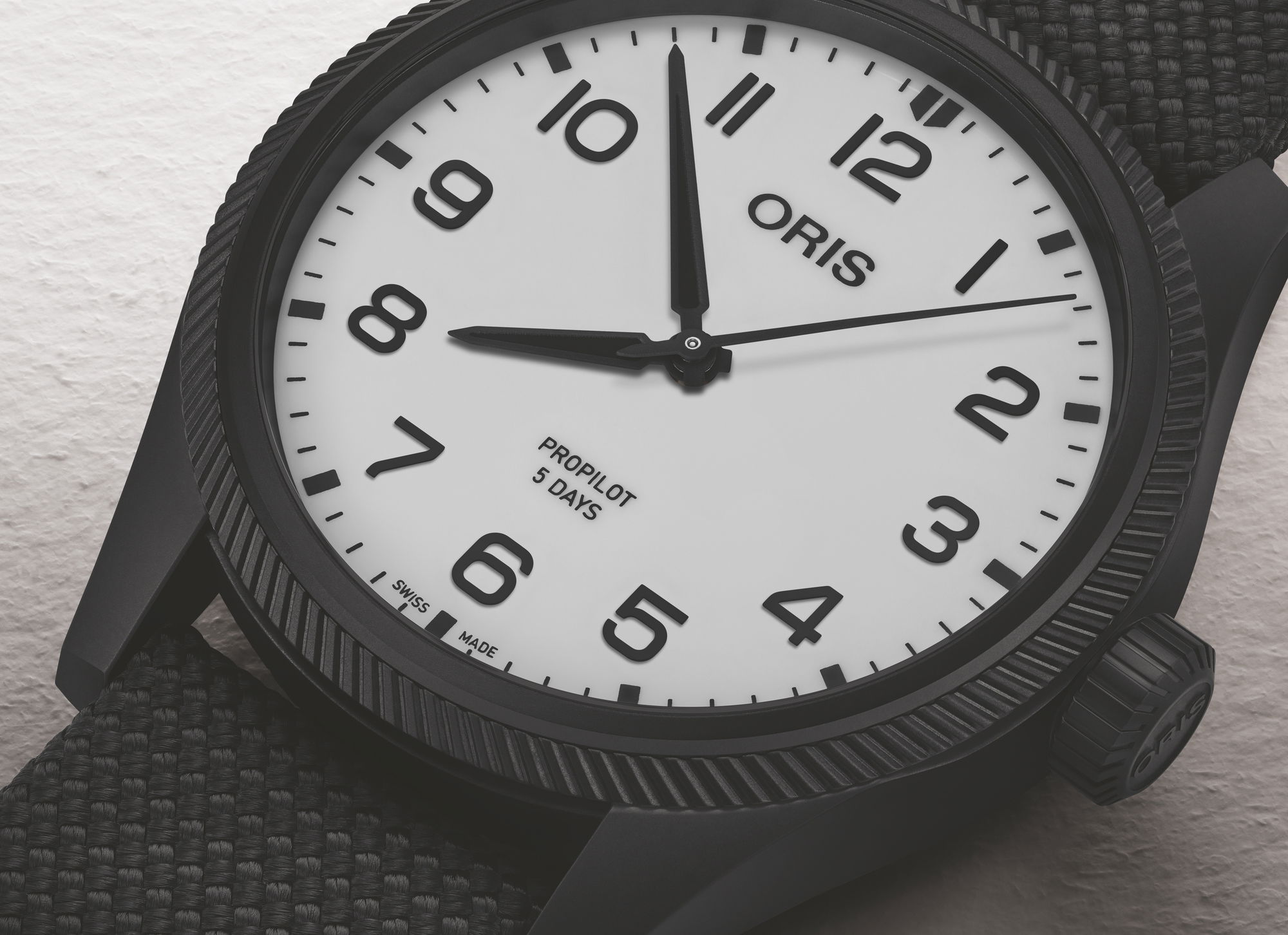 Holstein Edition 2025 - Image 3