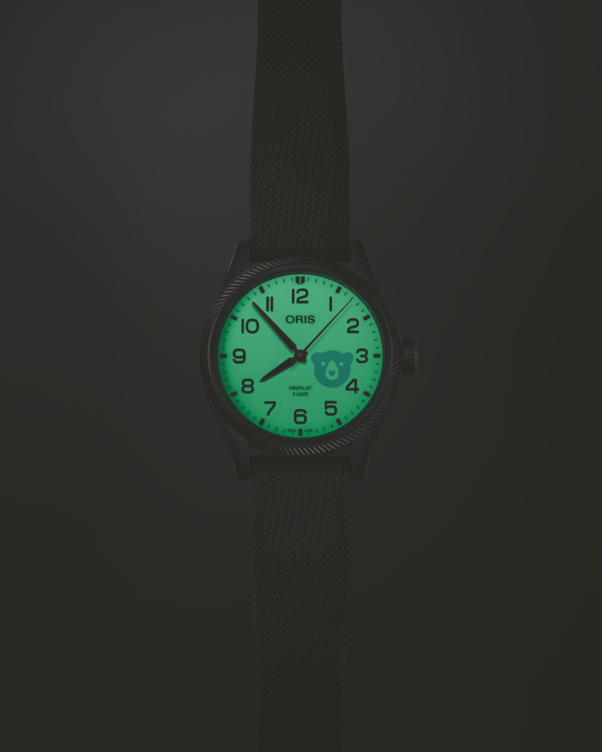 Holstein Edition 2025 - Image 4