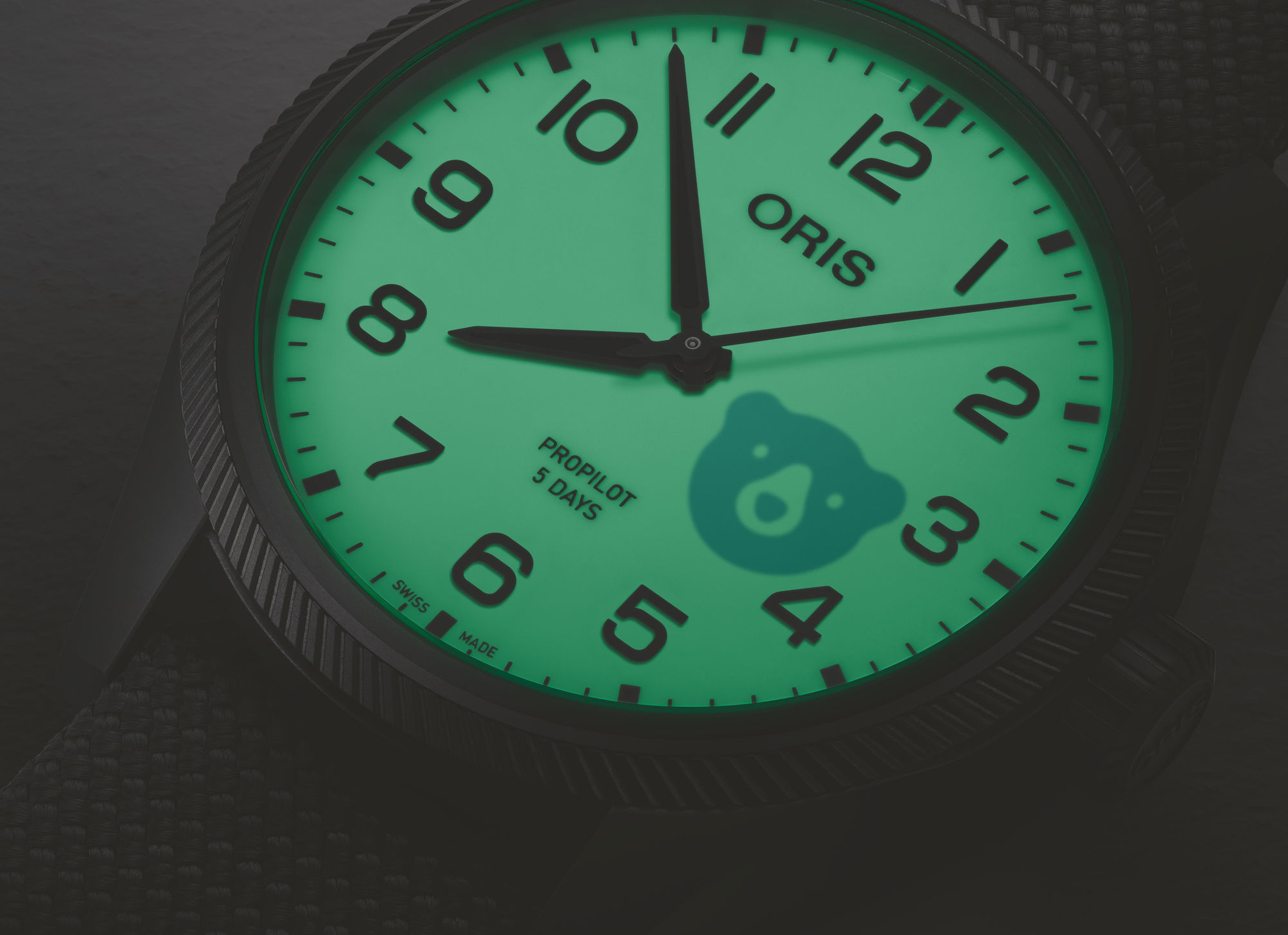 Holstein Edition 2025 - Image 5