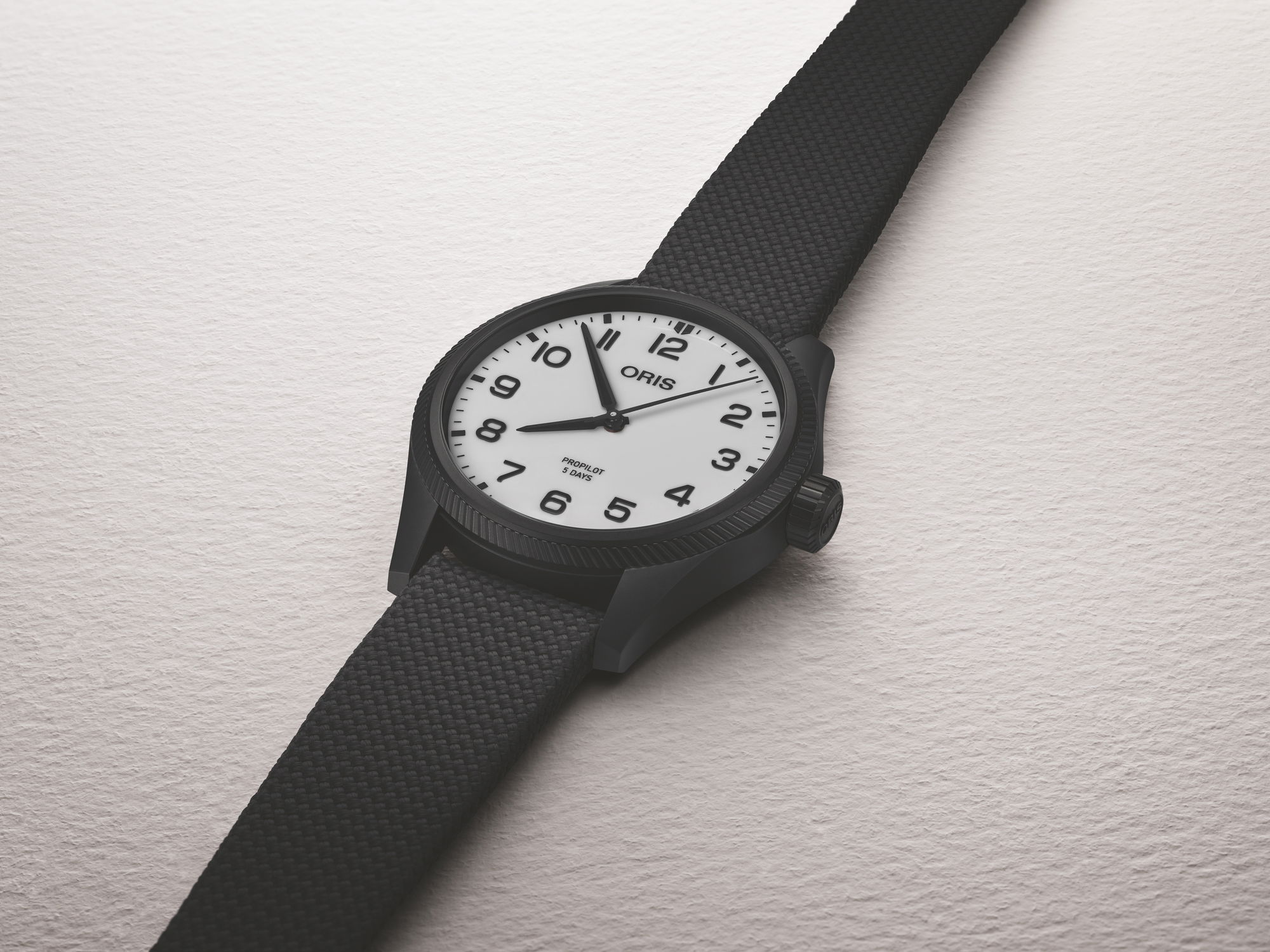 Holstein Edition 2025 - Image 6