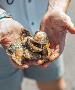 Alternative view of New York Harbor Limited Edition II