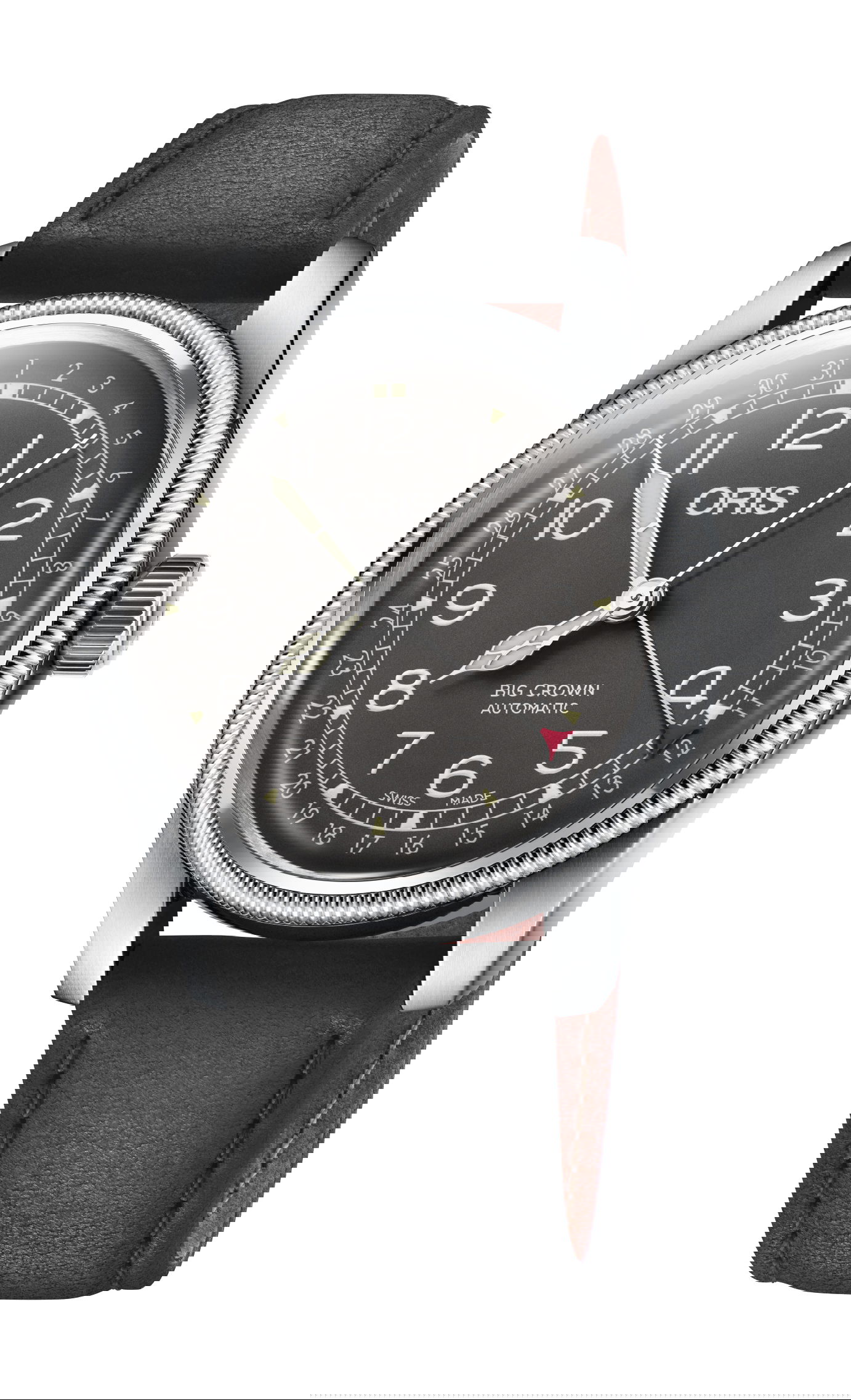 Big Crown Pointer Date