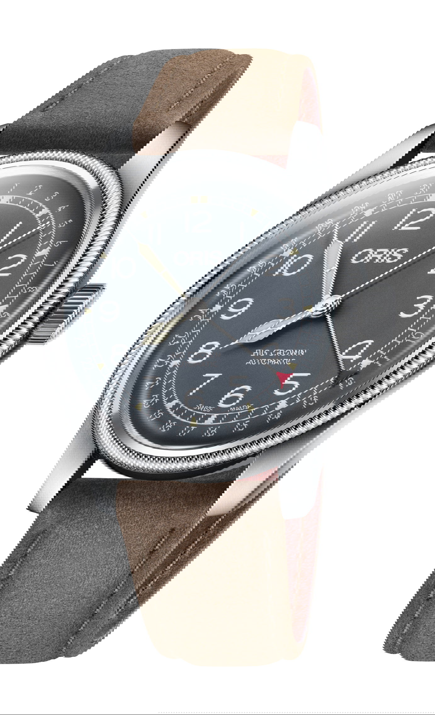 Big Crown Pointer Date