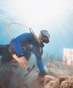 Alternative view of Carysfort Reef Limited Edition