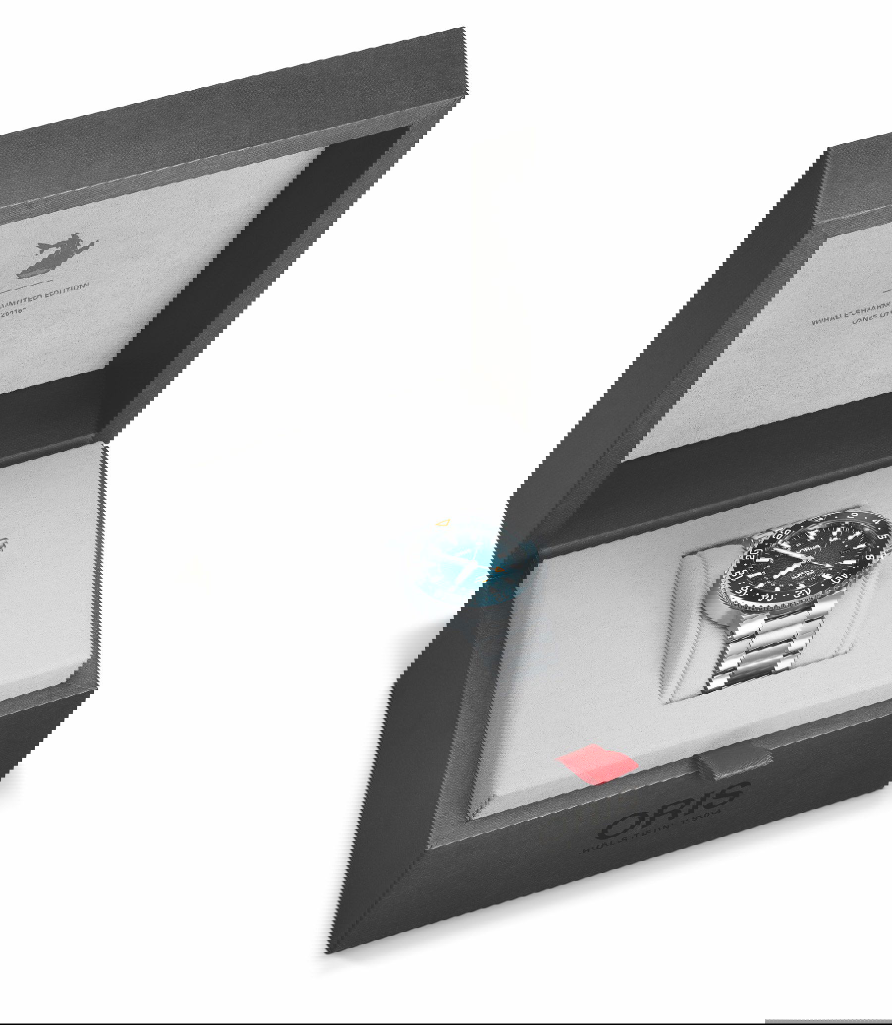 Whale Shark Limited Edition - Image 3