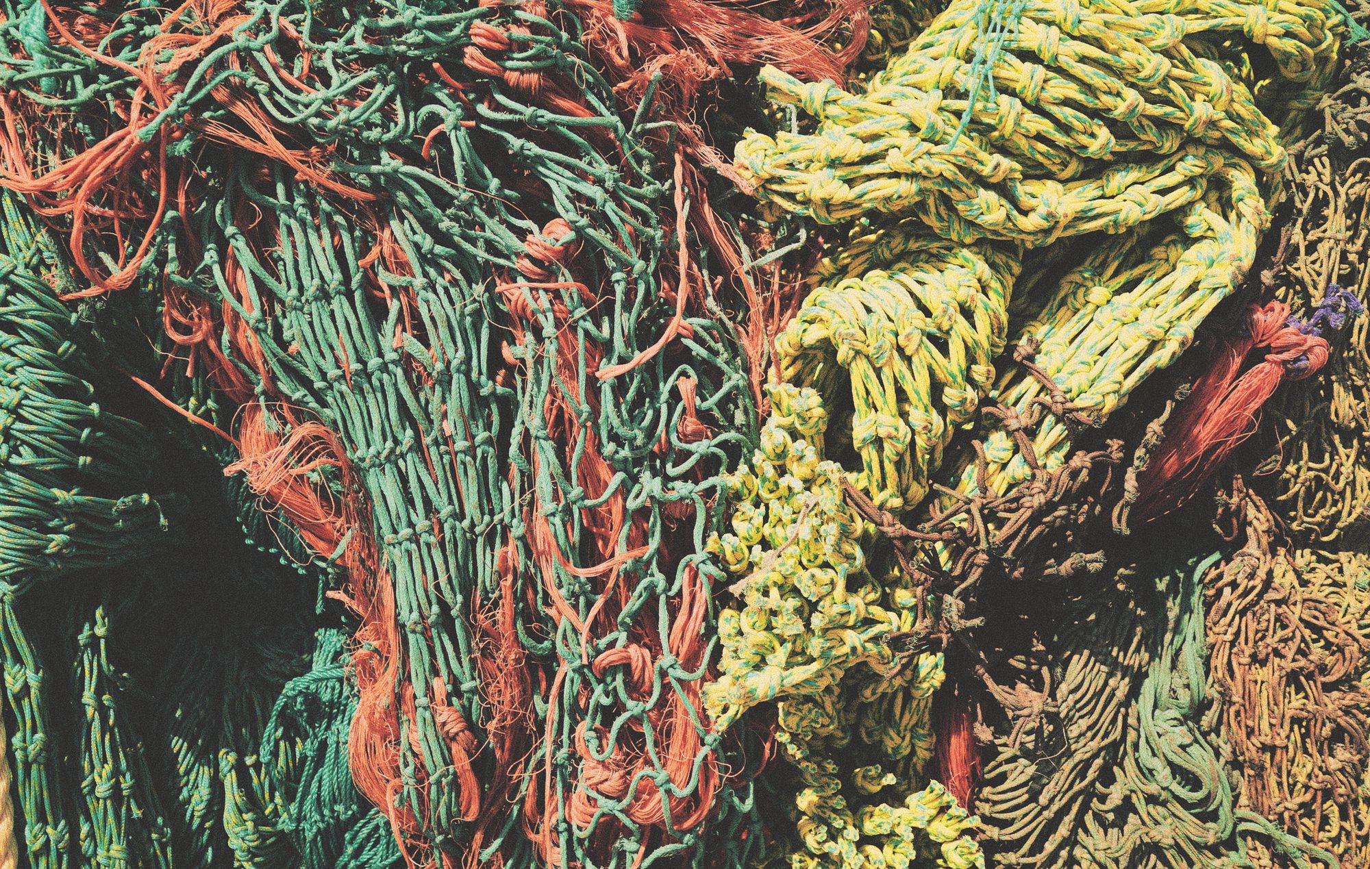 Oris X Bracenet - Image 5