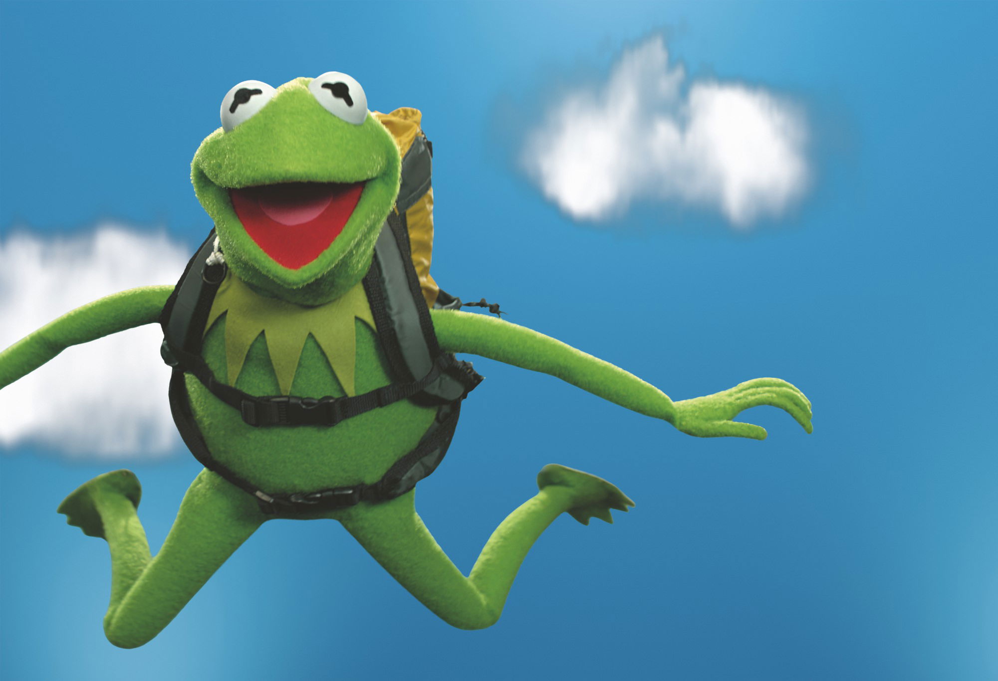 ProPilot X Kermit Edition - Image 10