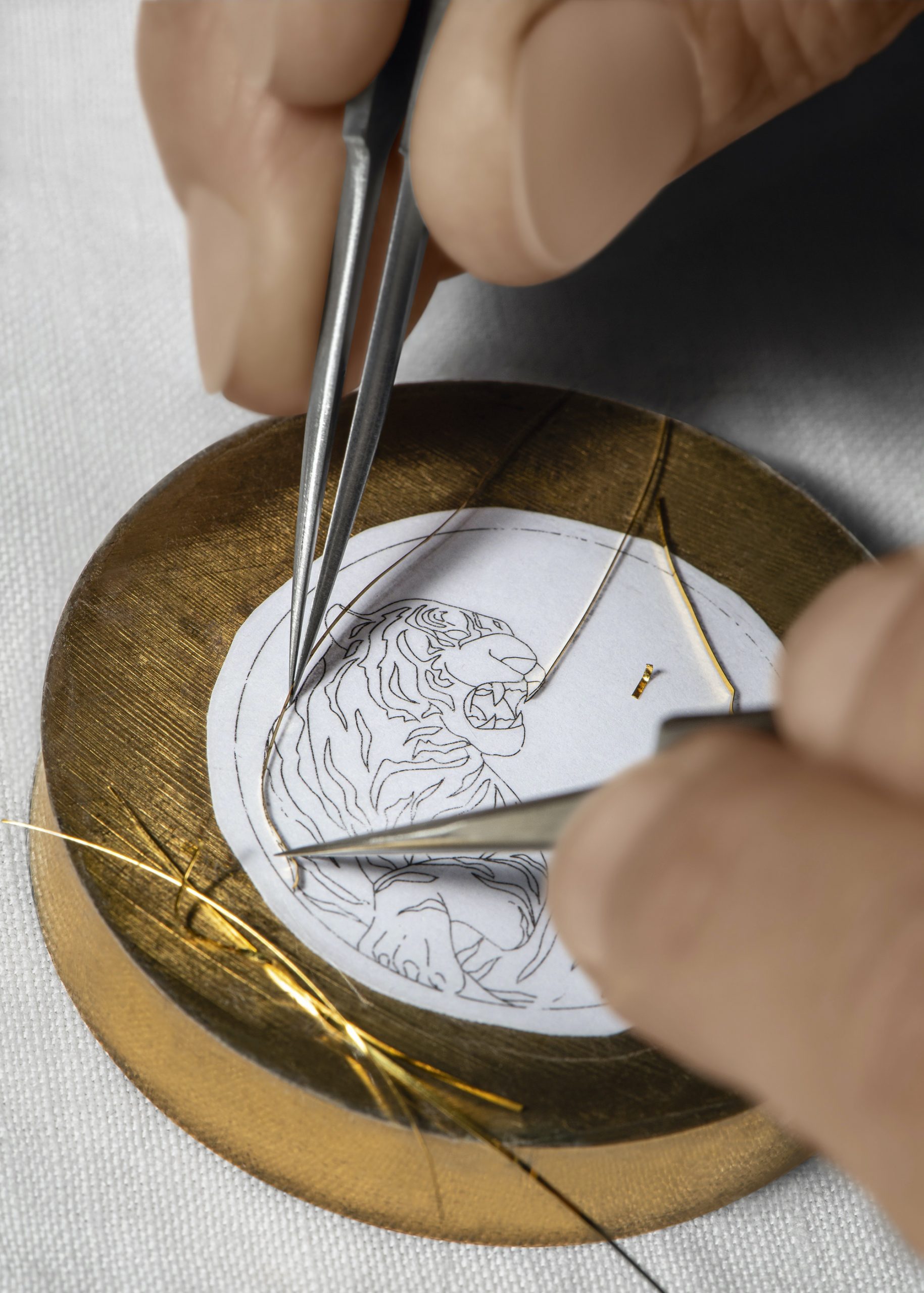 Altiplano Zodiac - Image 5