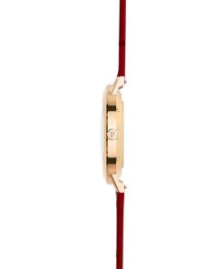 Alternative view of Altiplano Origin