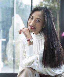 Alternative view of Altiplano Origin