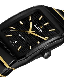 Alternative view of Anatom