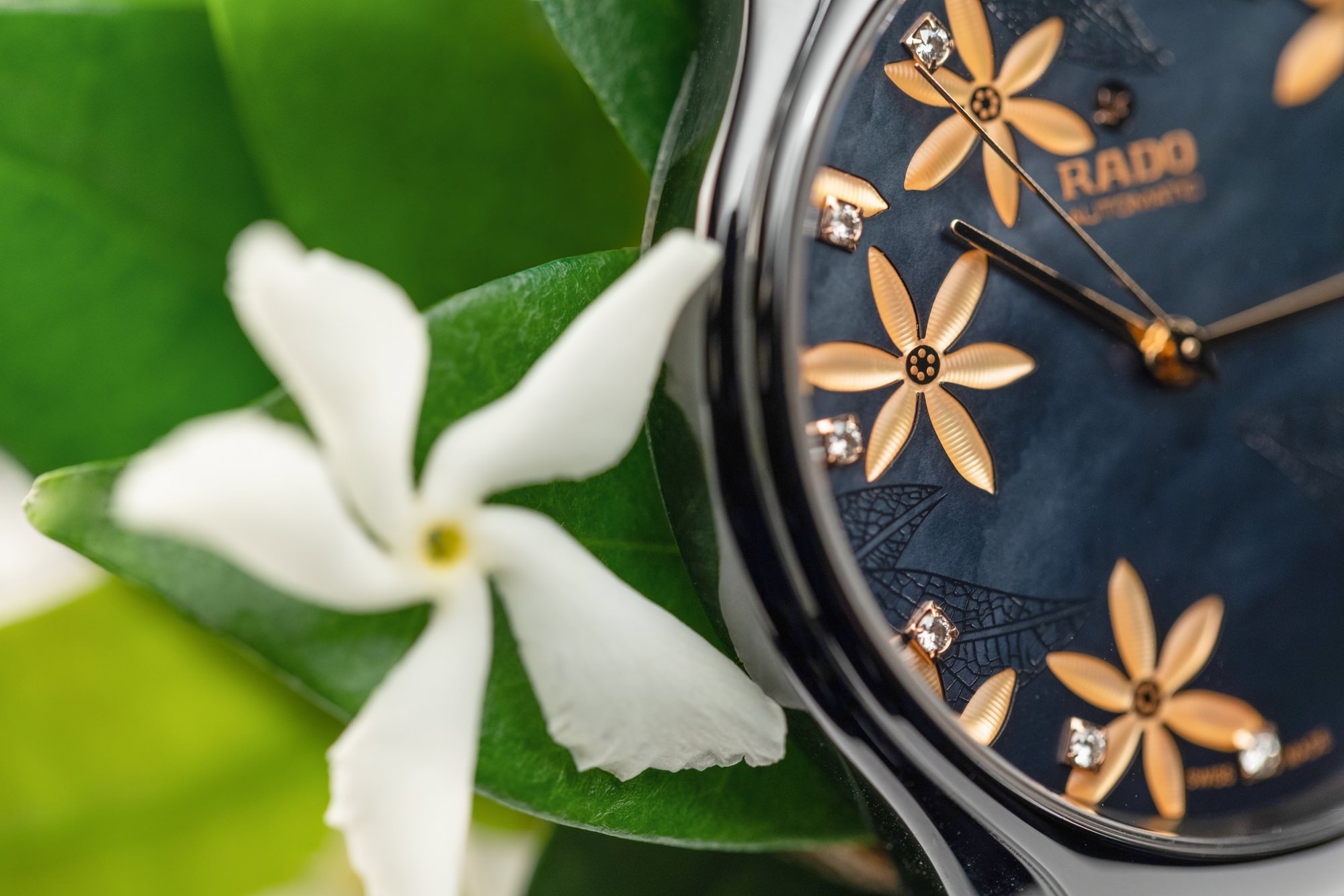 True Great Gardens of the World - Image 7