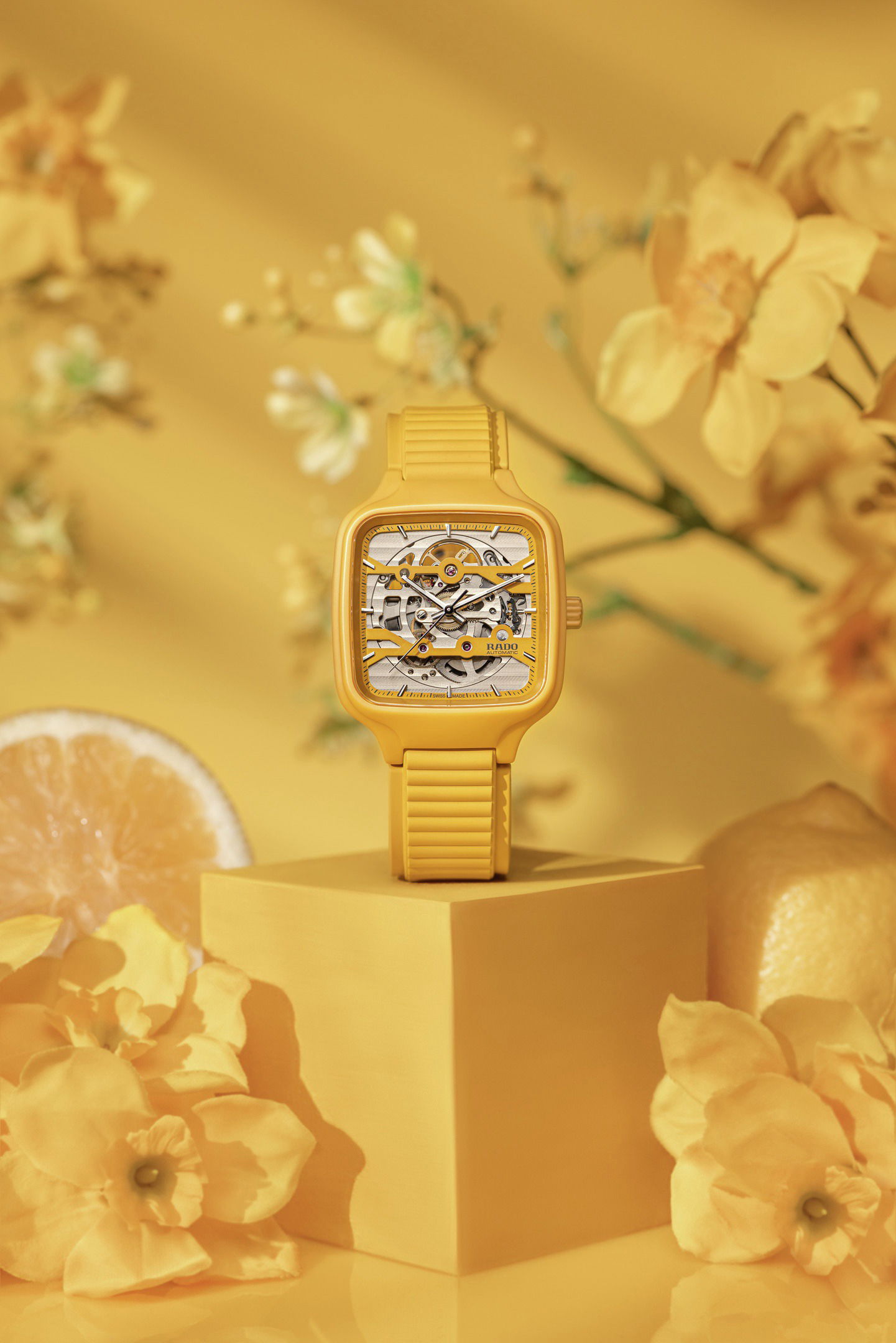 True Square Skeleton - Image 2